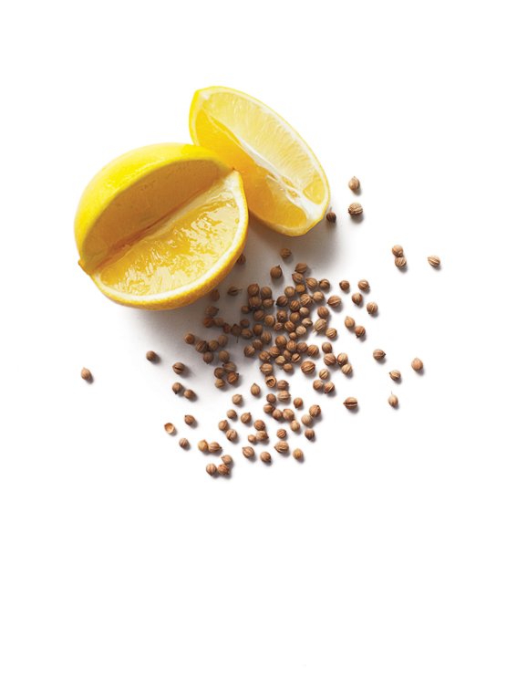 mediterranean-coriander-roast-chicken