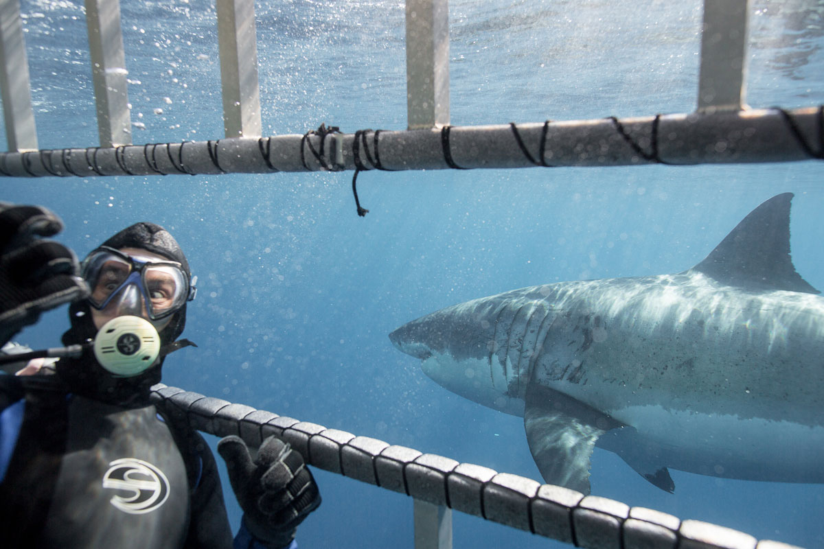 playing-to-the-audience