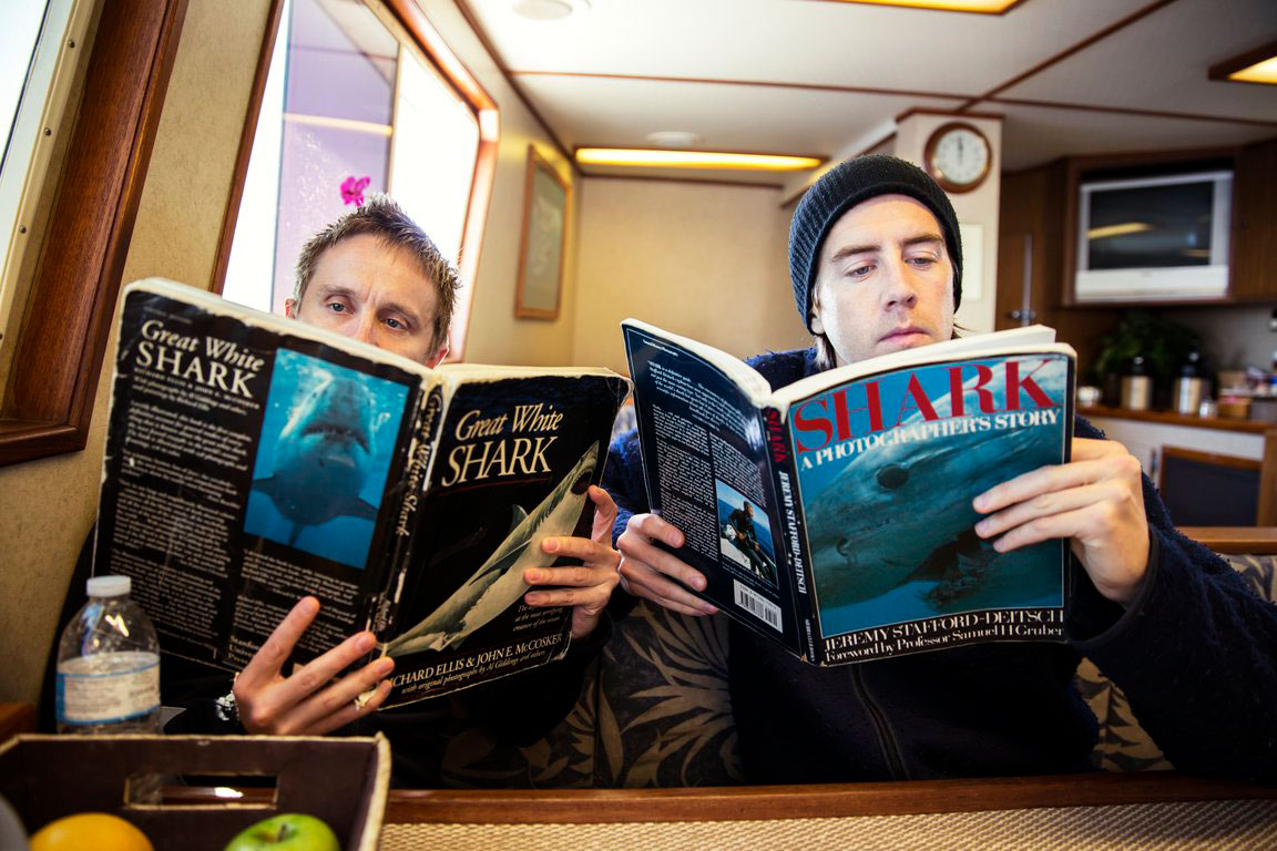 sink-your-teeth-into-the-literature