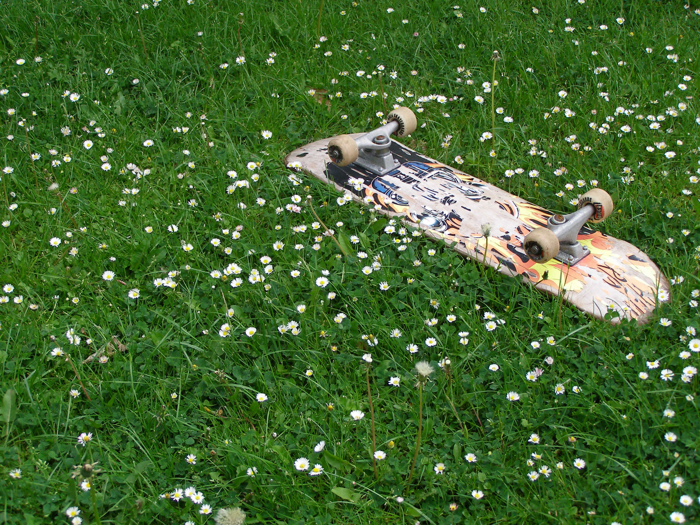 for-sports-enthusiasts