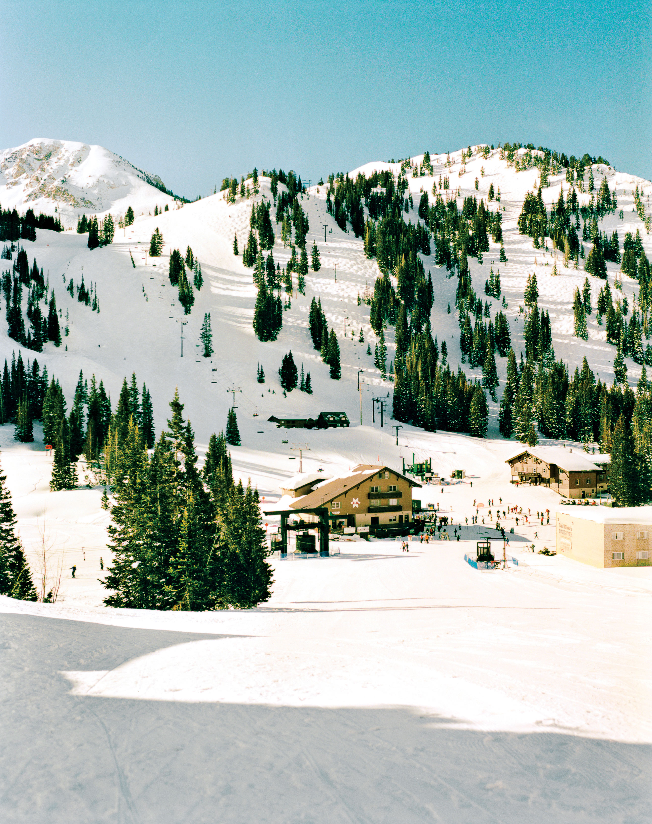 for-pure-skiing-alta-ski-area-alta-ut