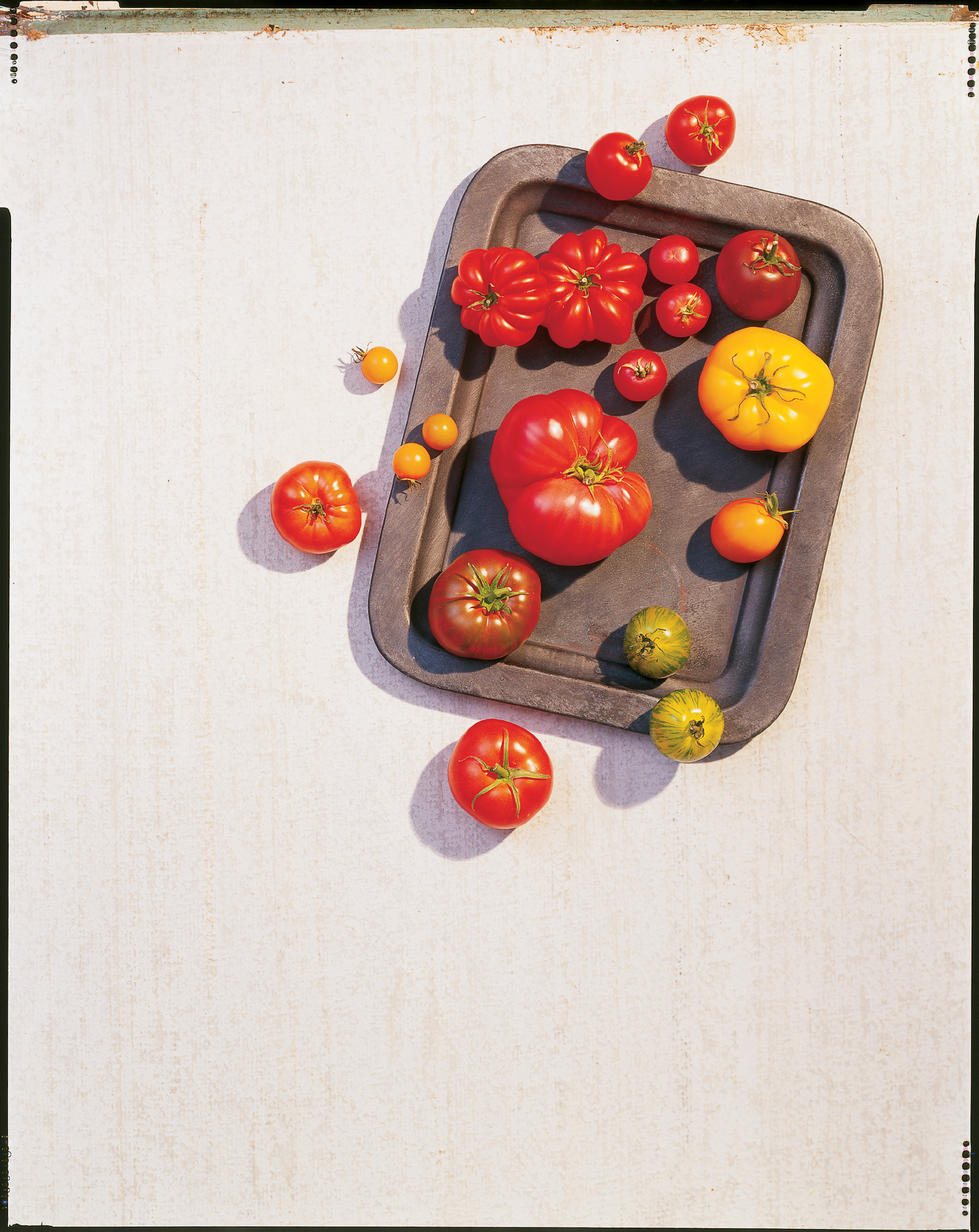 6 Tasty Slicer Tomatoes