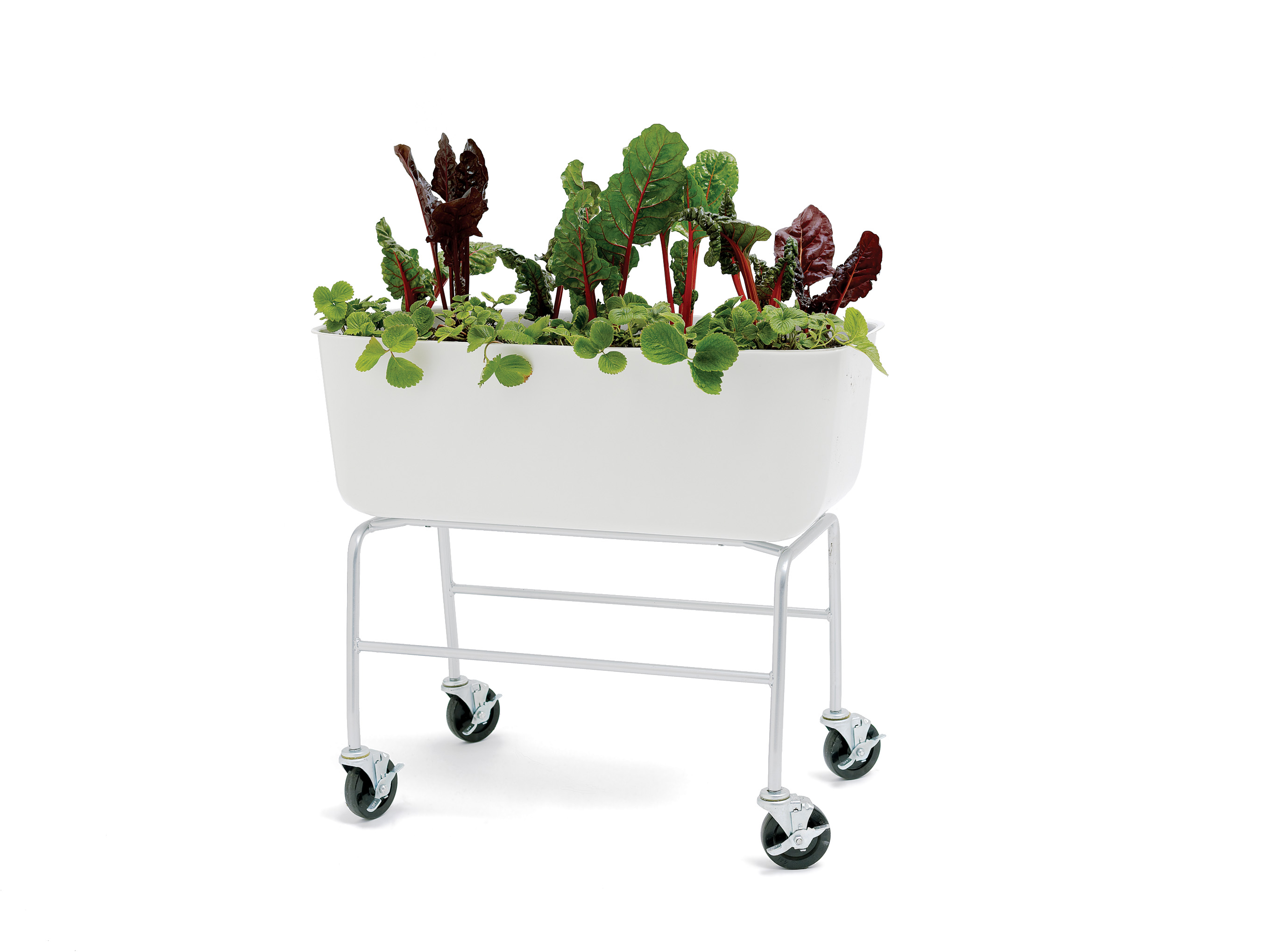mobile-planter