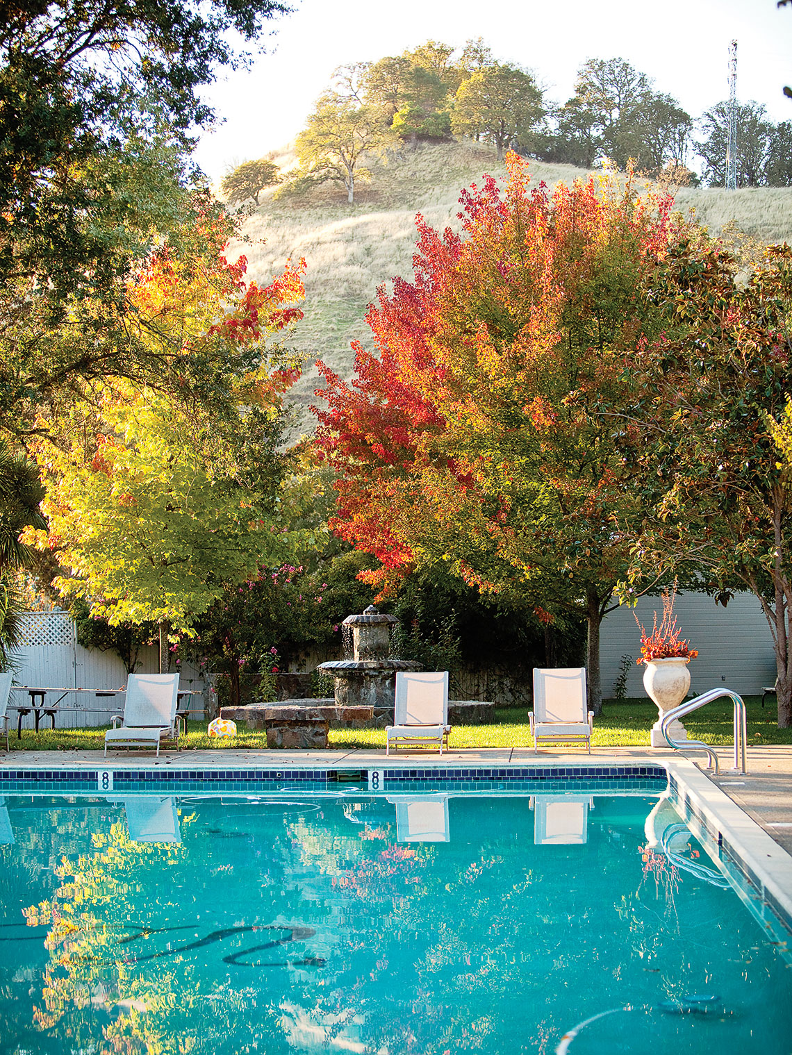 our-trees-are-a-treat