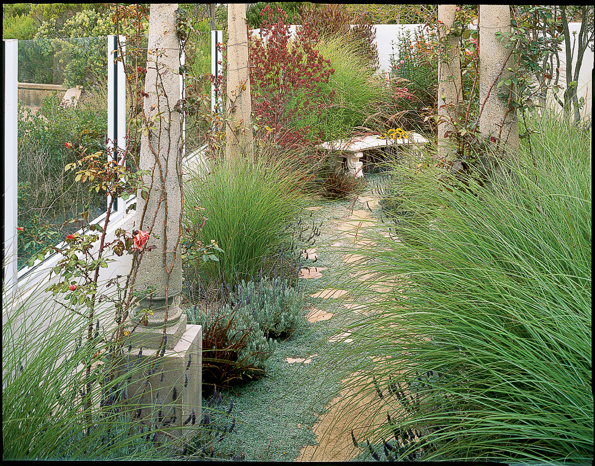 ornamental-grass