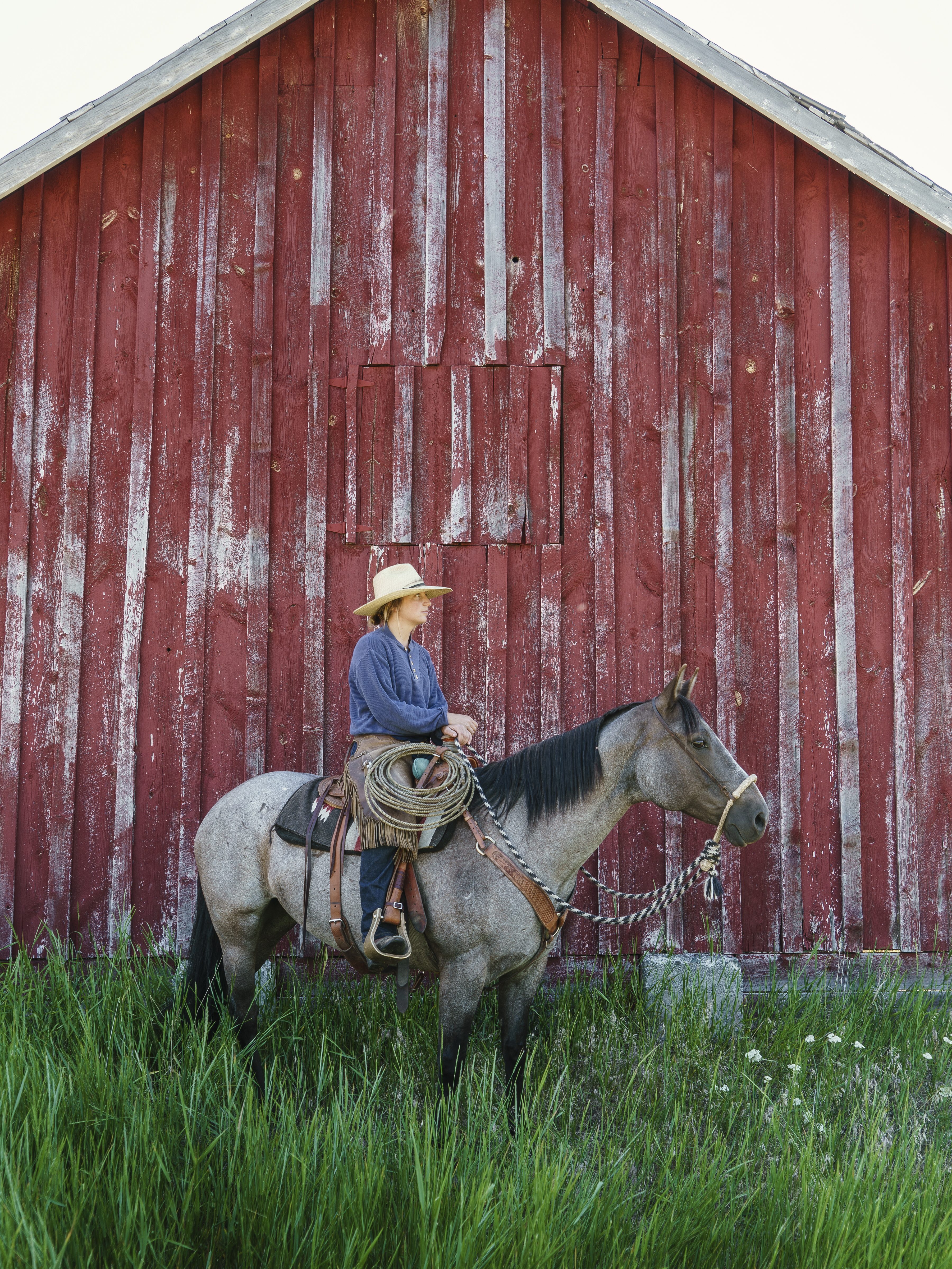 the-ranchers-daughter