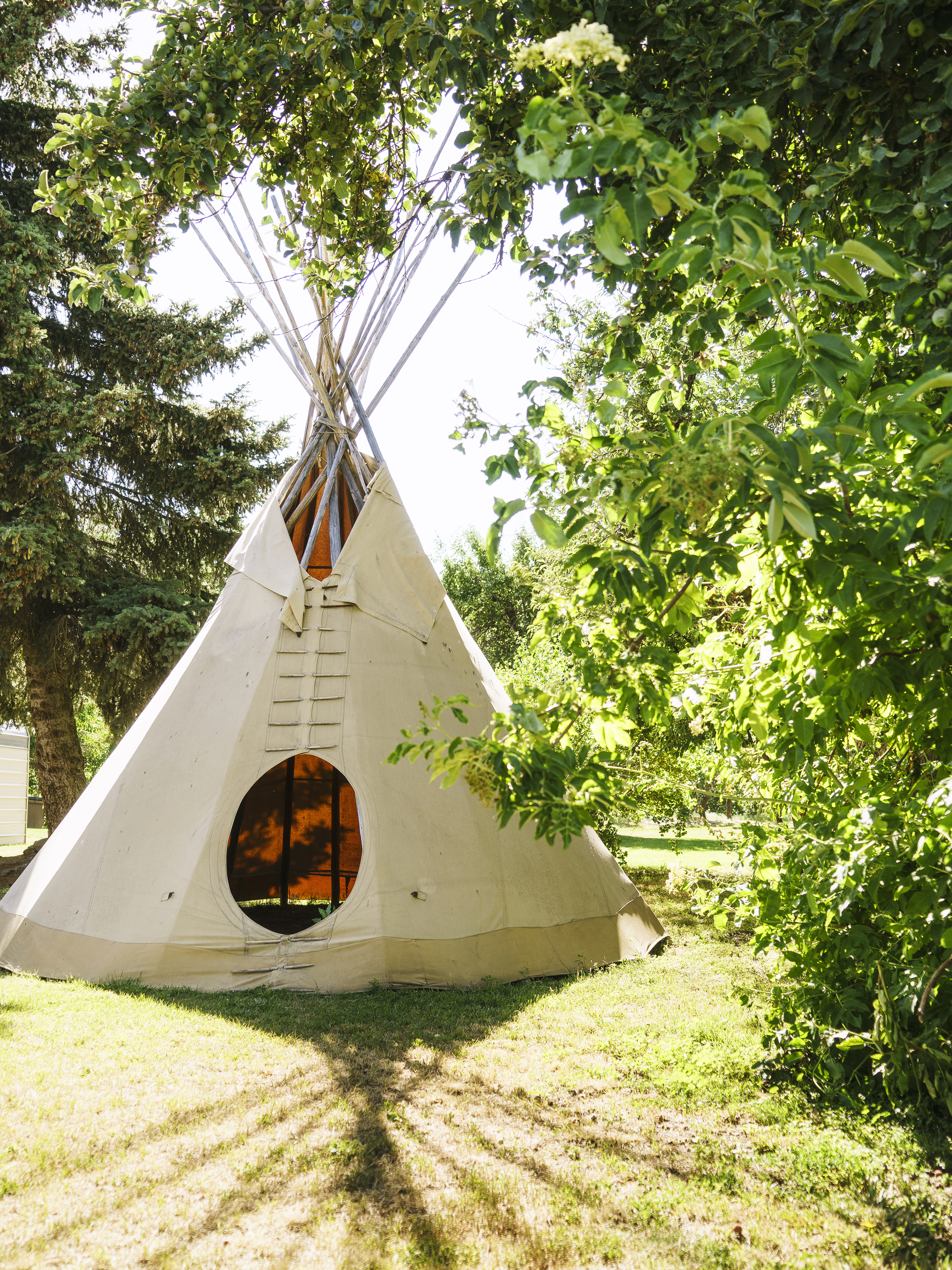 backyard-tipi
