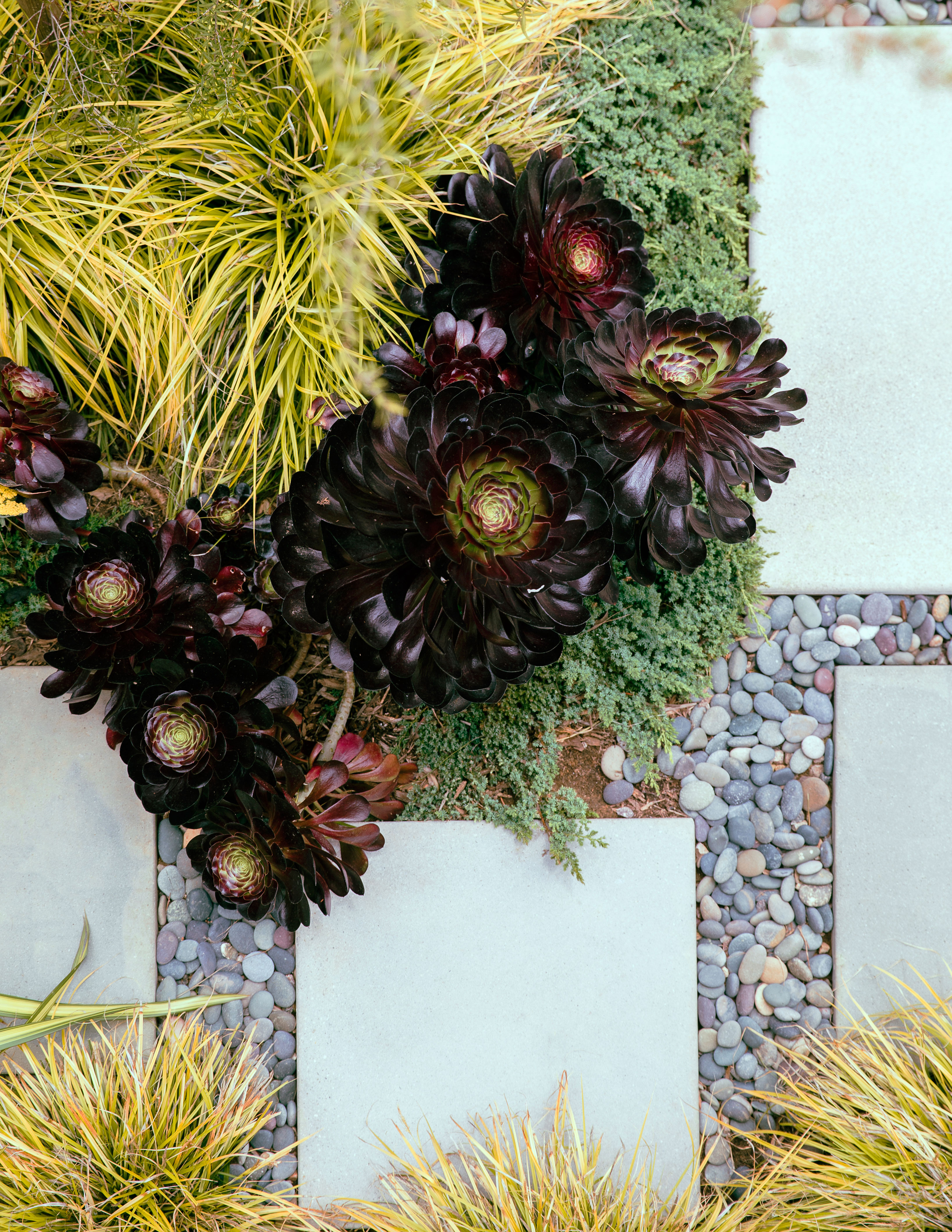 From Fire to Water, These Are the Top 5 Garden Trends We’re Watching for 2020