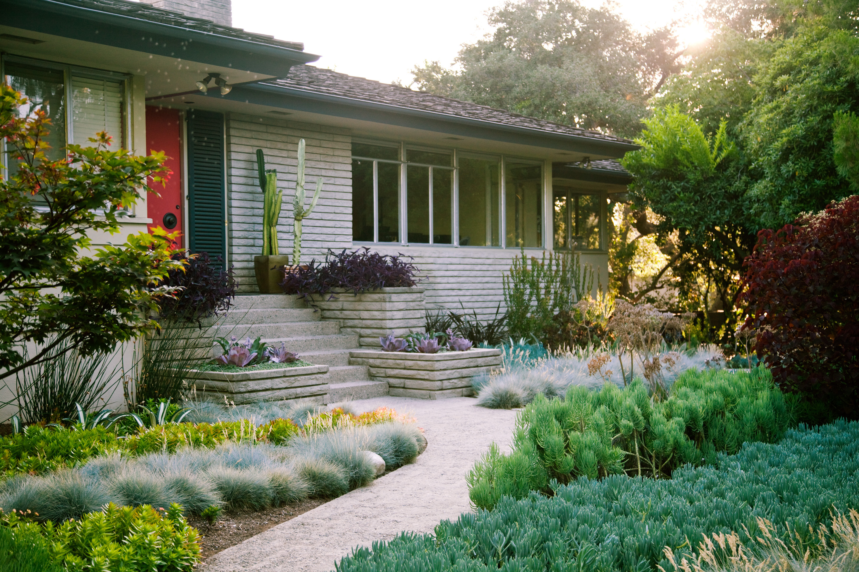 case-study-tailored-textured