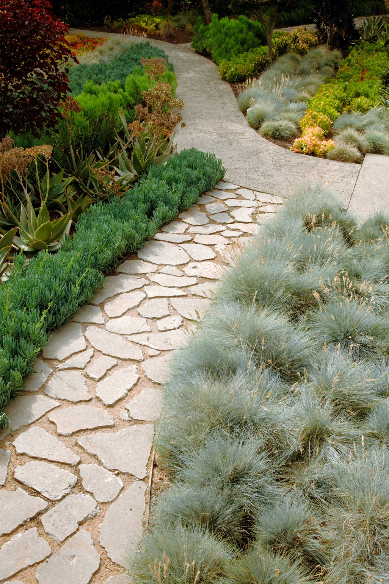 idea-to-steal-channel-rainwater