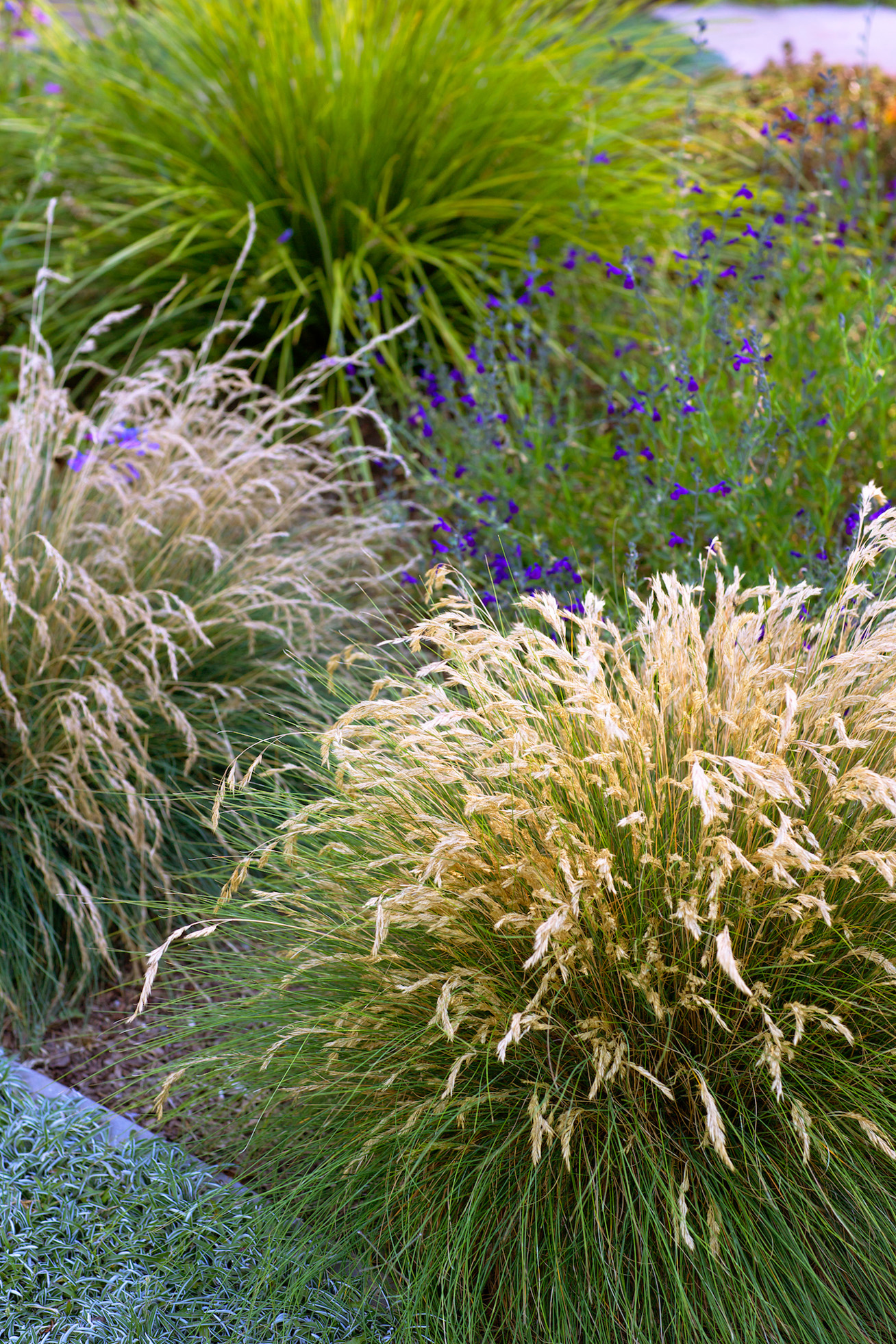 idea-to-steal-soften-the-edges