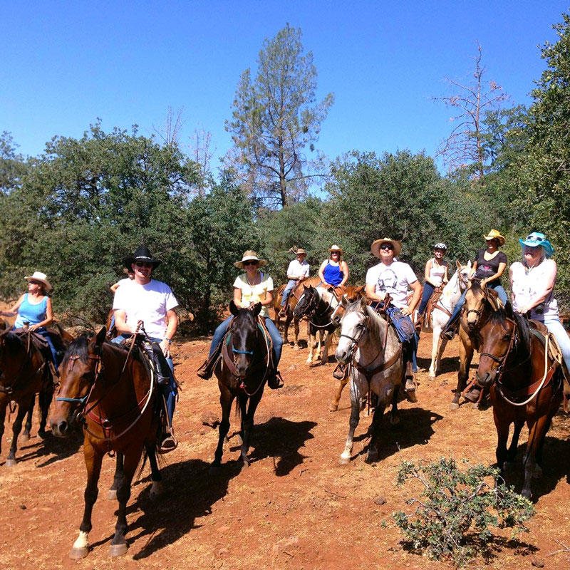 the-wild-horse-sanctuary