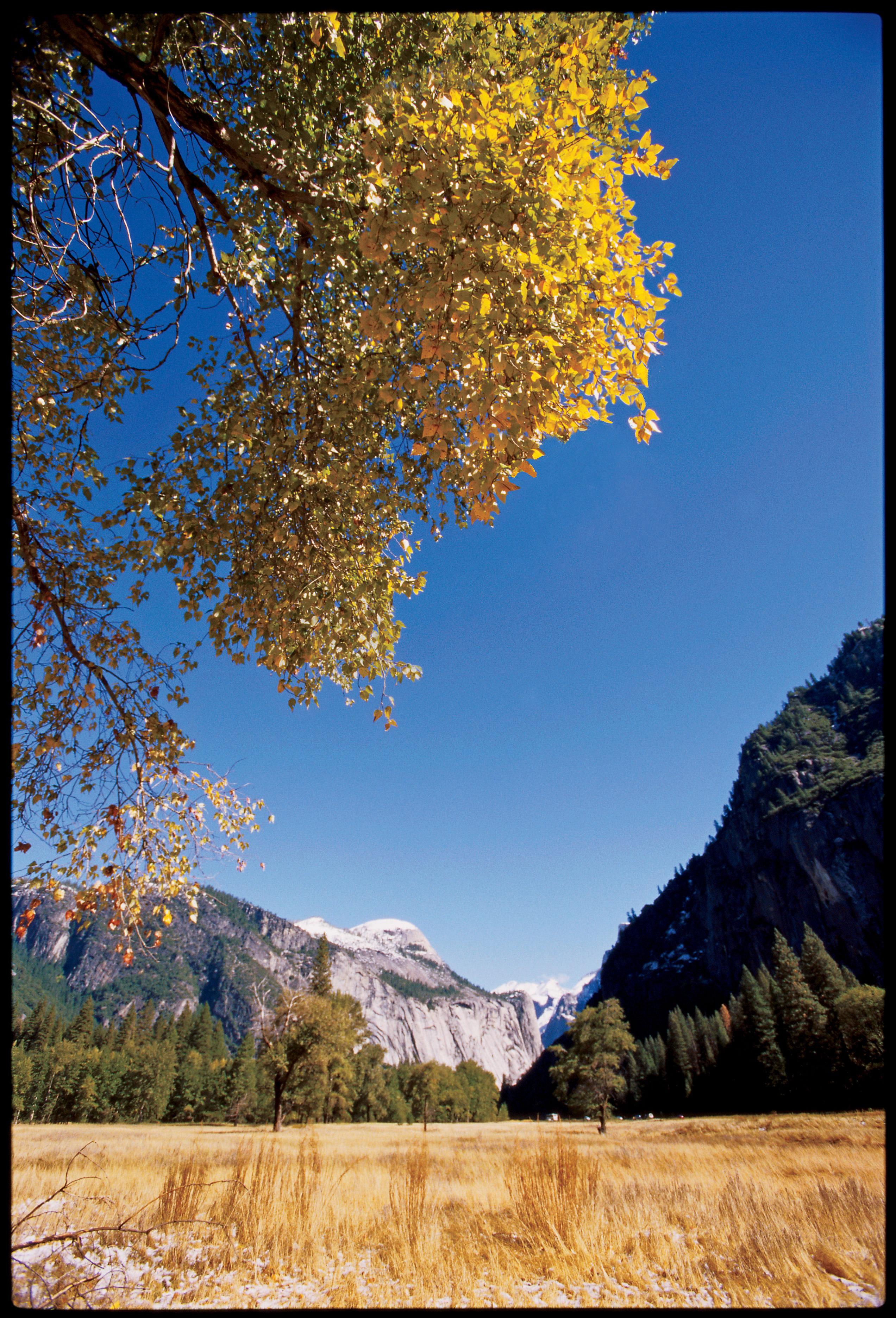 catch-the-golden-season-at-yosemite