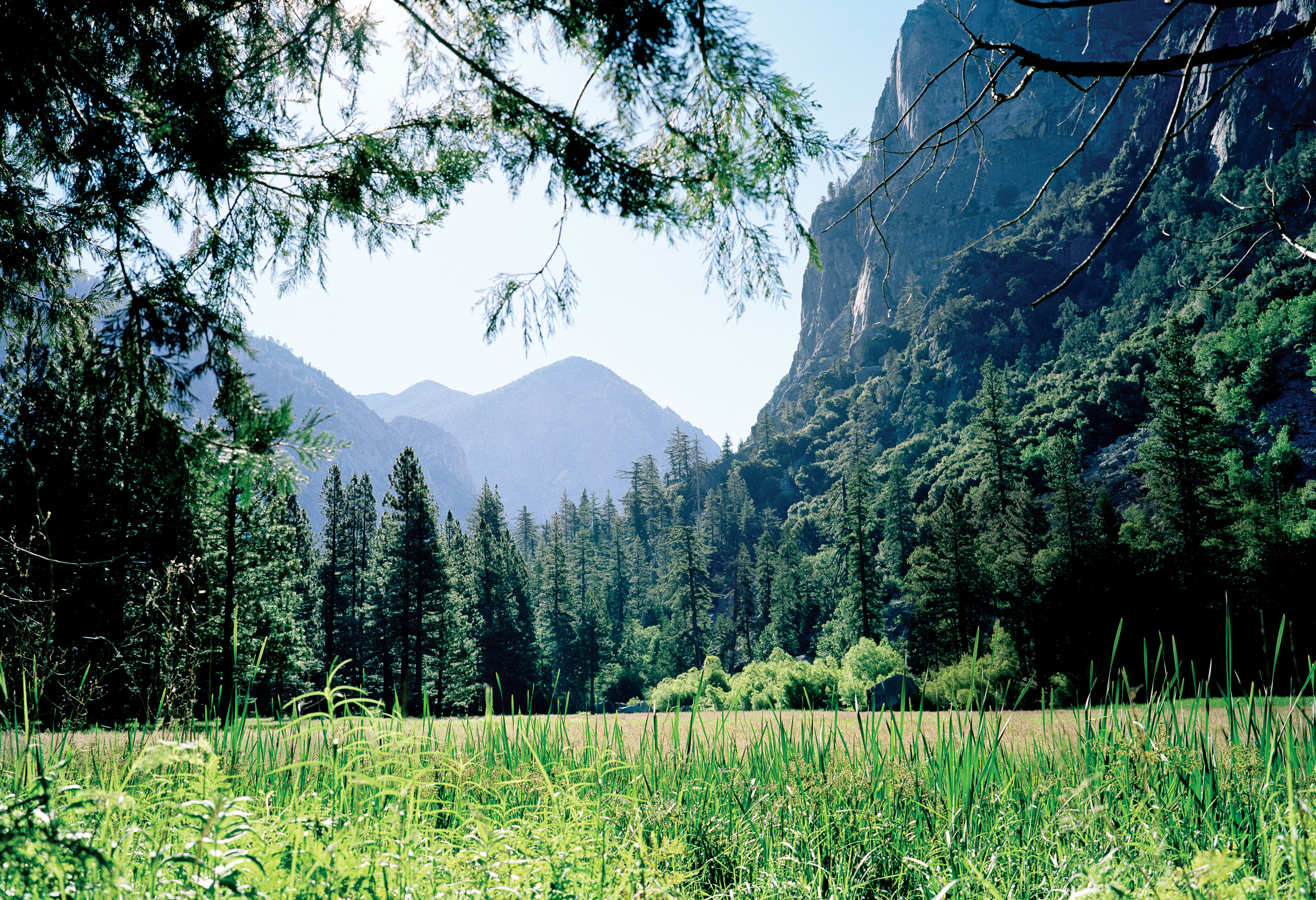 kings-canyon-zumwalt-meadow