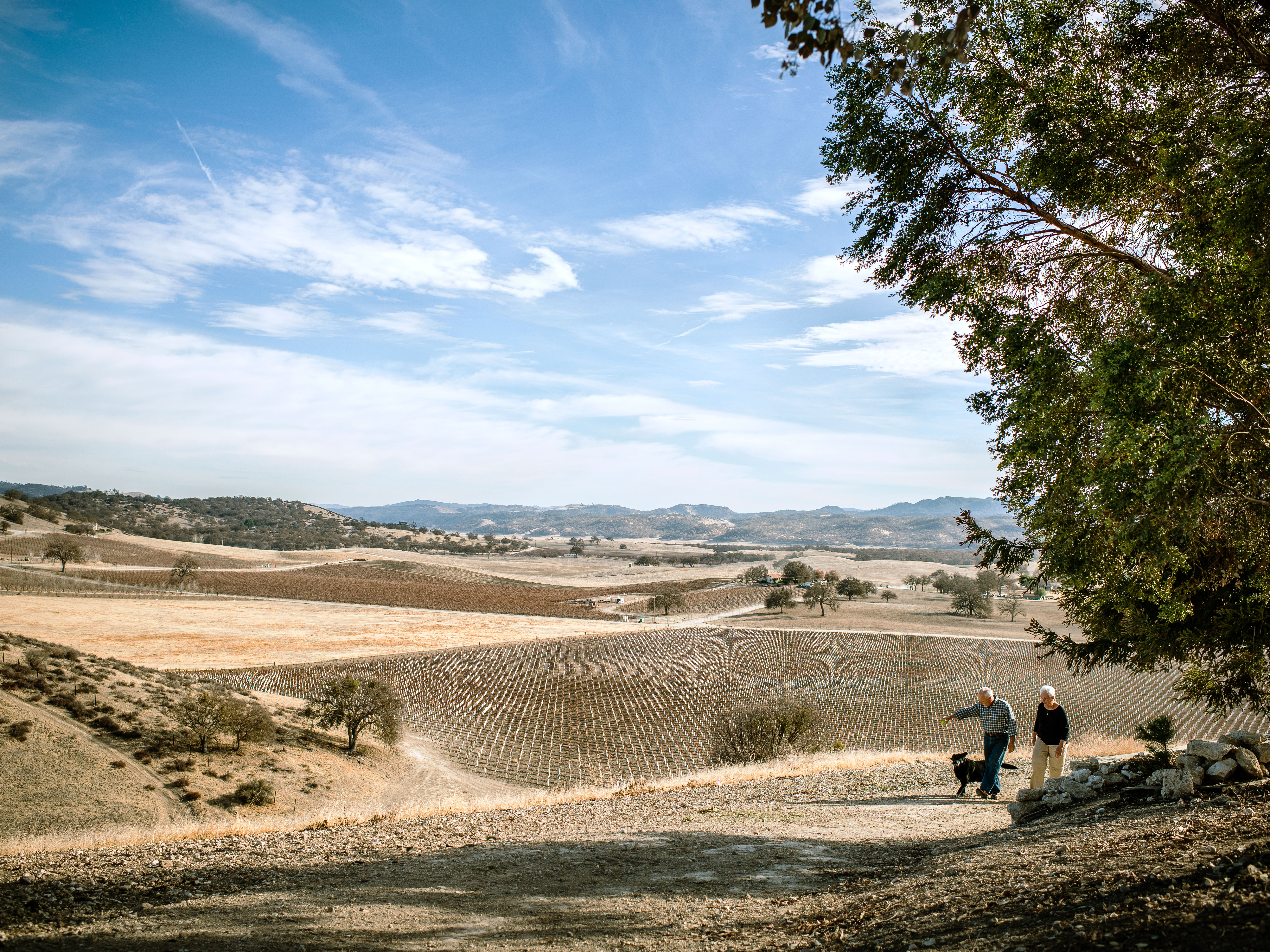 The Future of Fracking in California