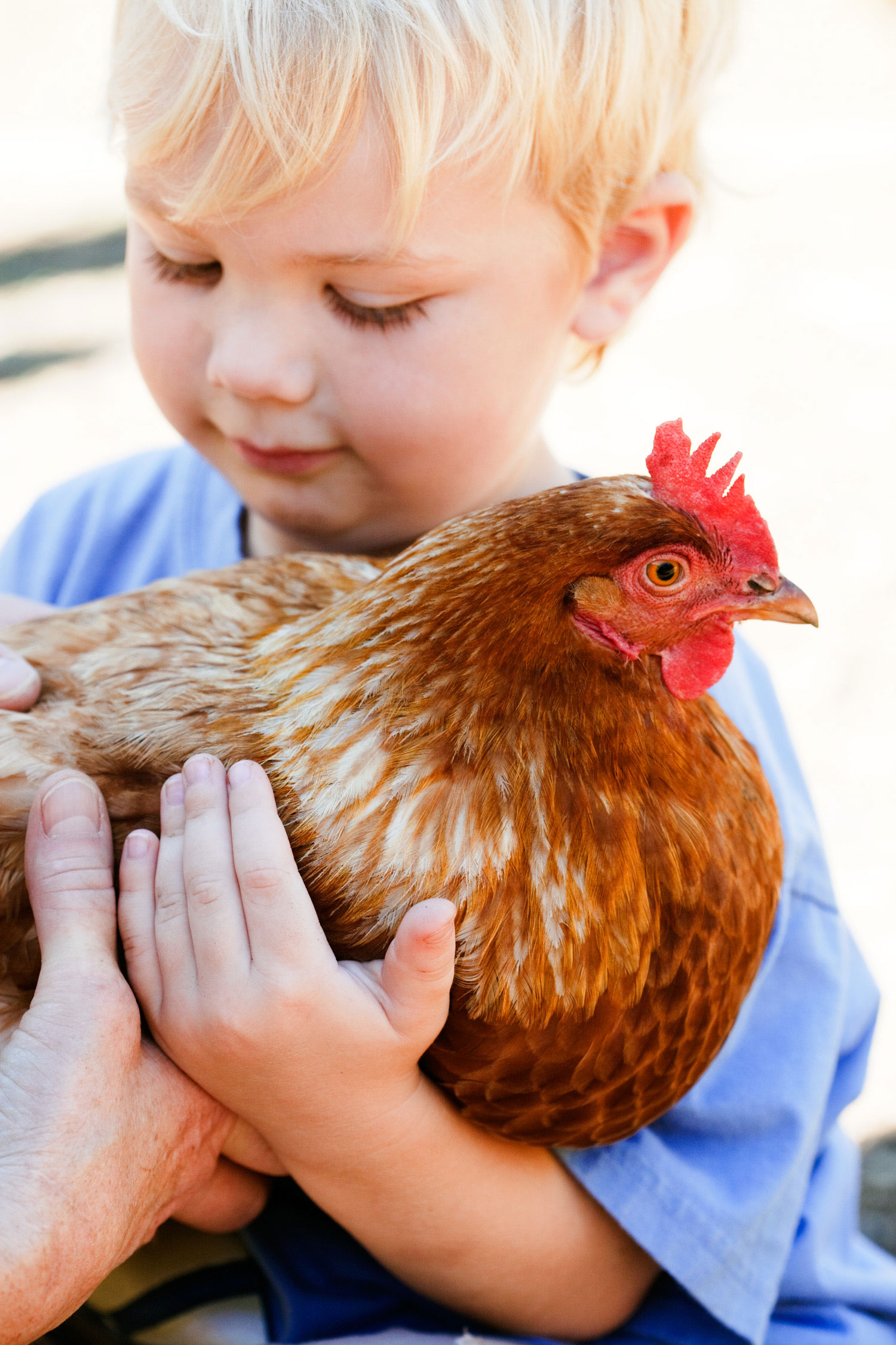 Top 8 Agritourism Experiences