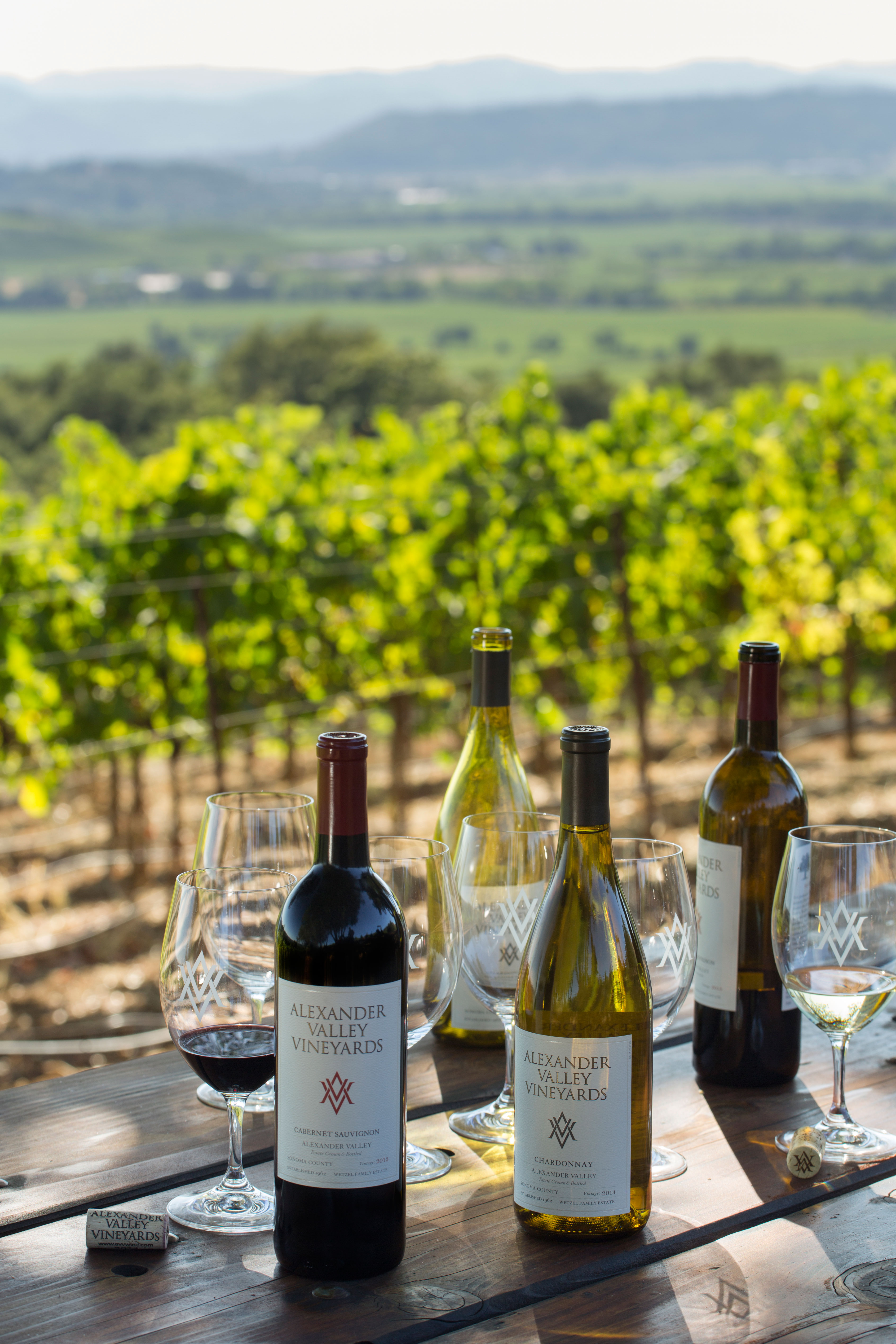 alexander-valley-vineyards