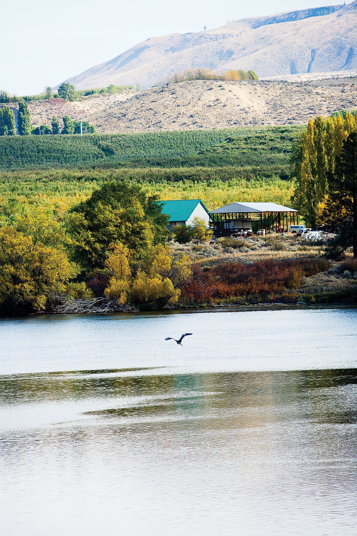Taste Washington’s apple country