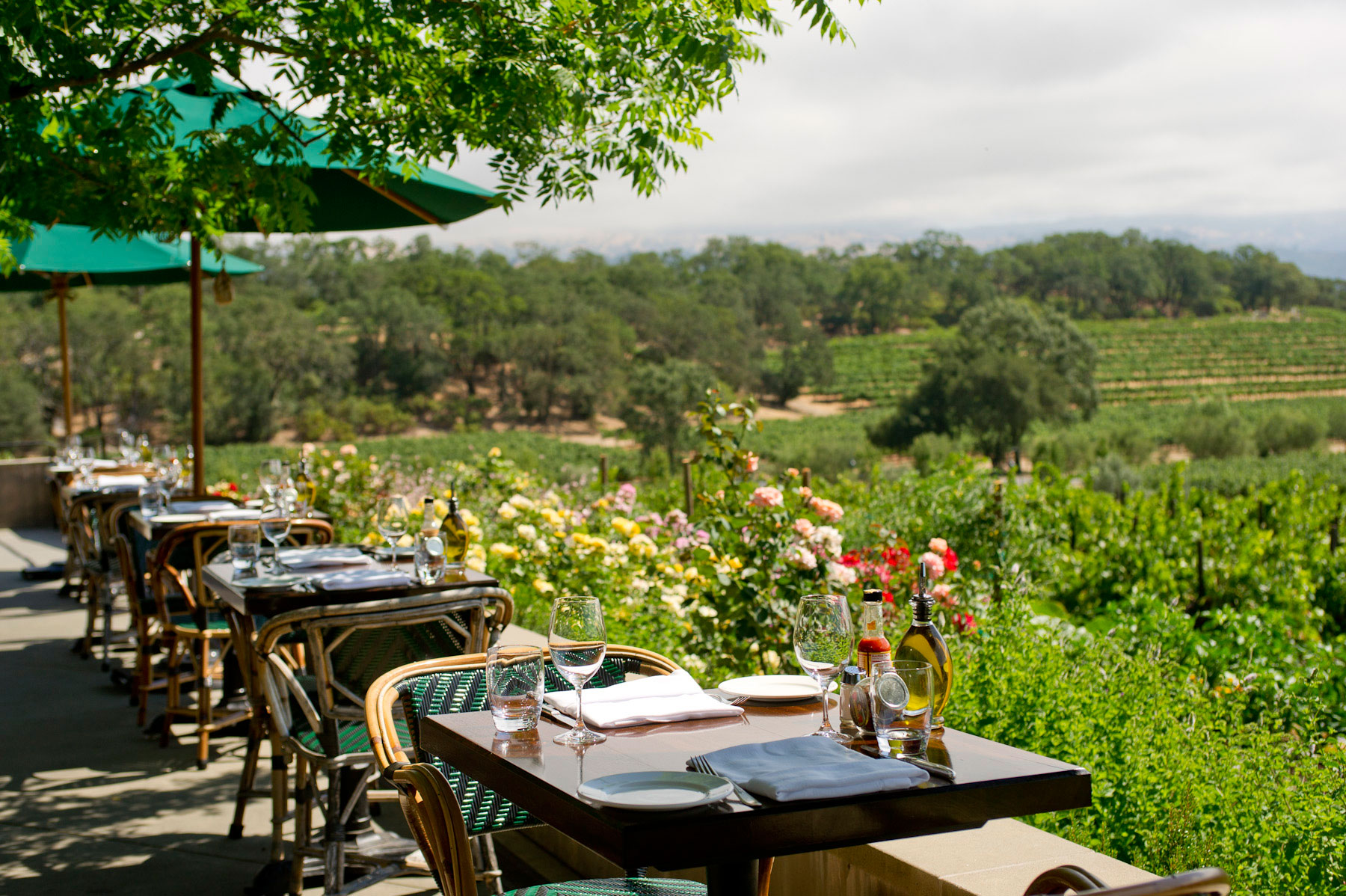 rustic-franciss-favorites