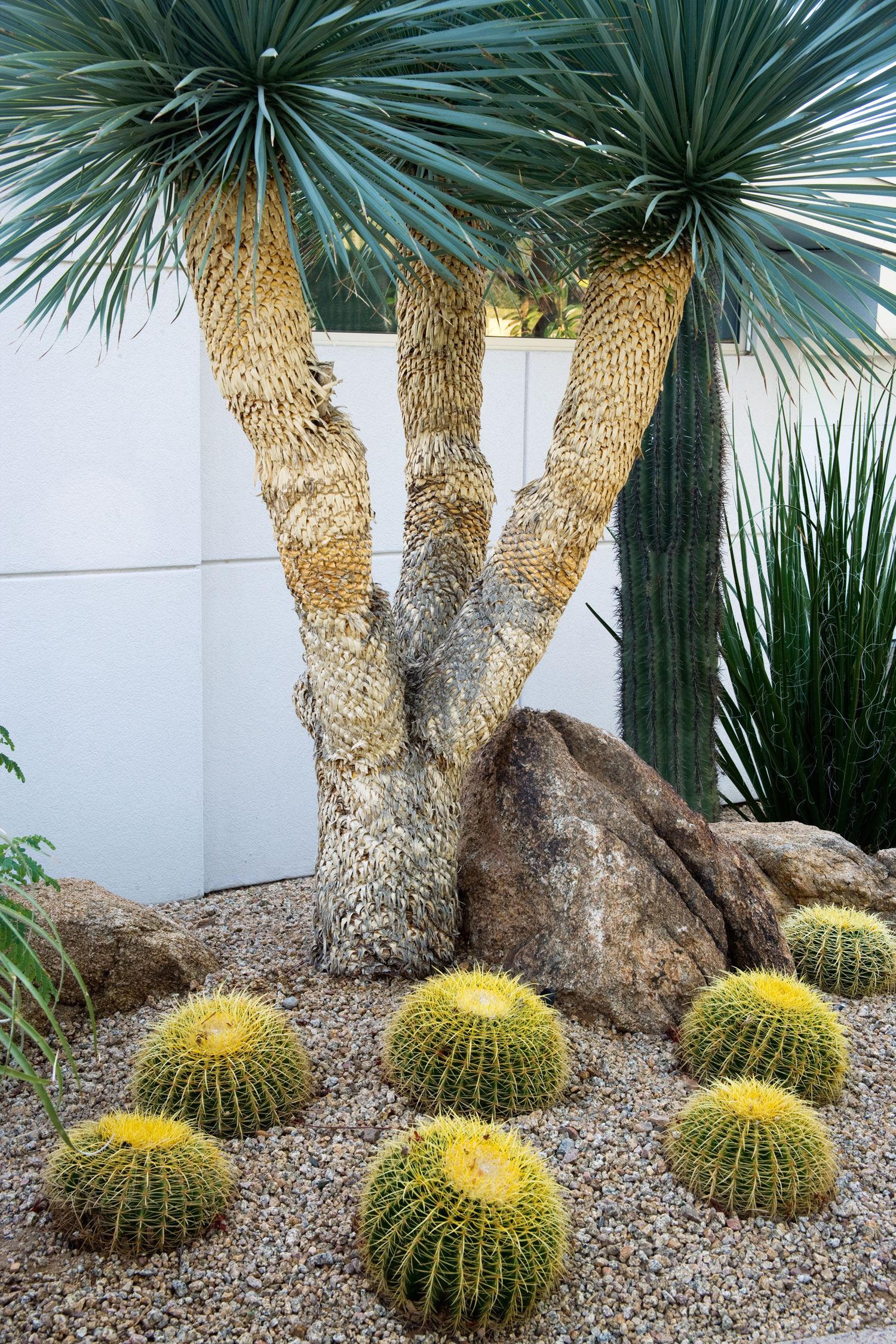 limit-your-plant-selections