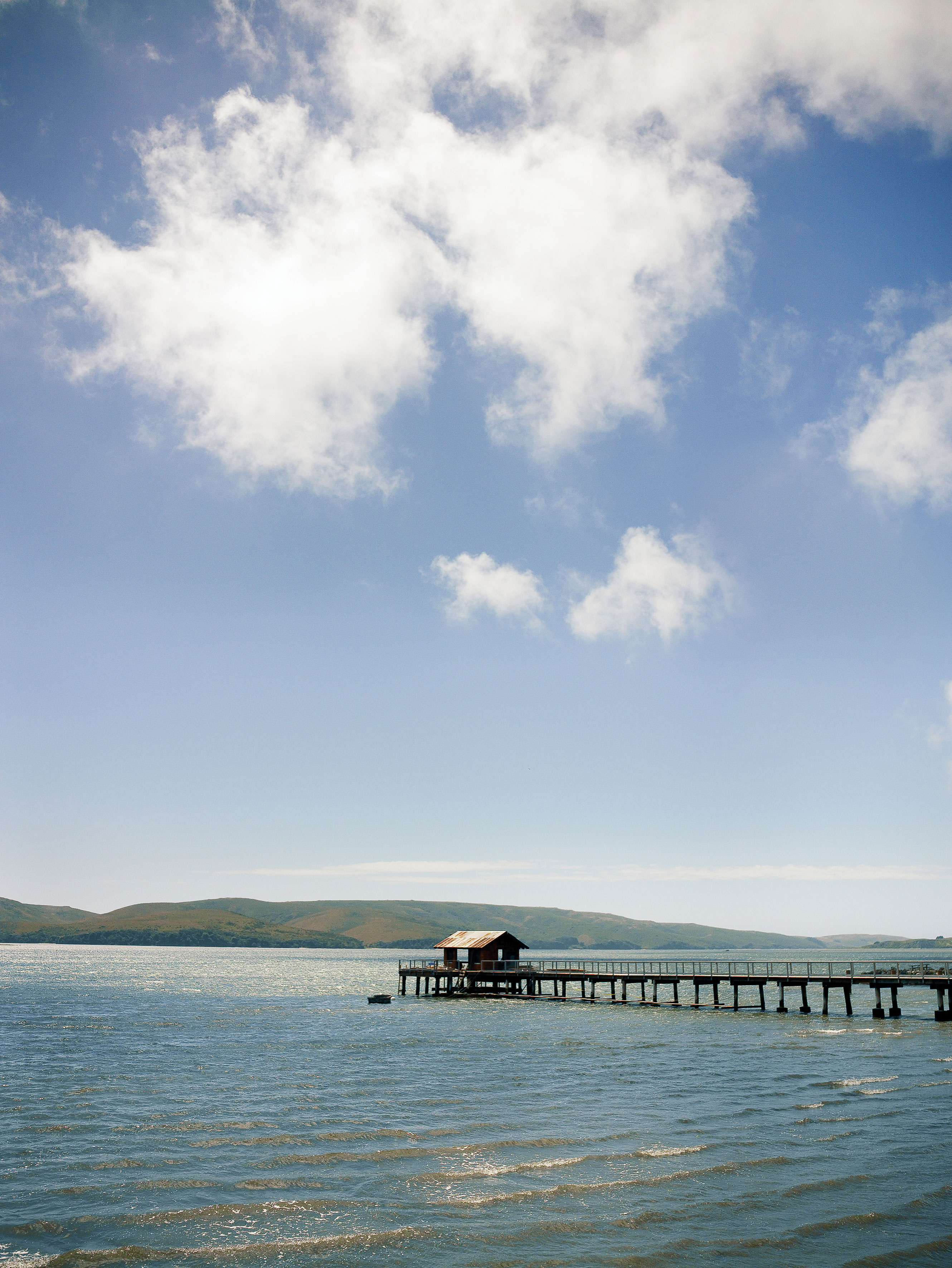 Bountiful Tomales Bay