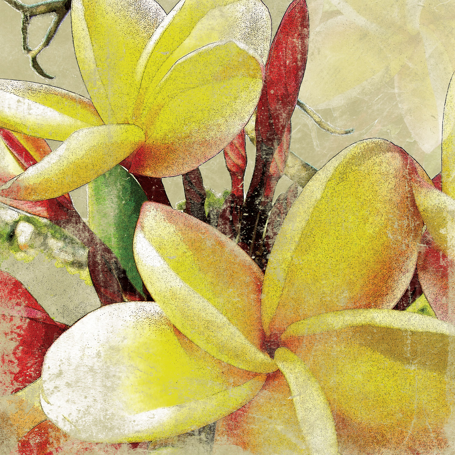 touch-of-the-tropics