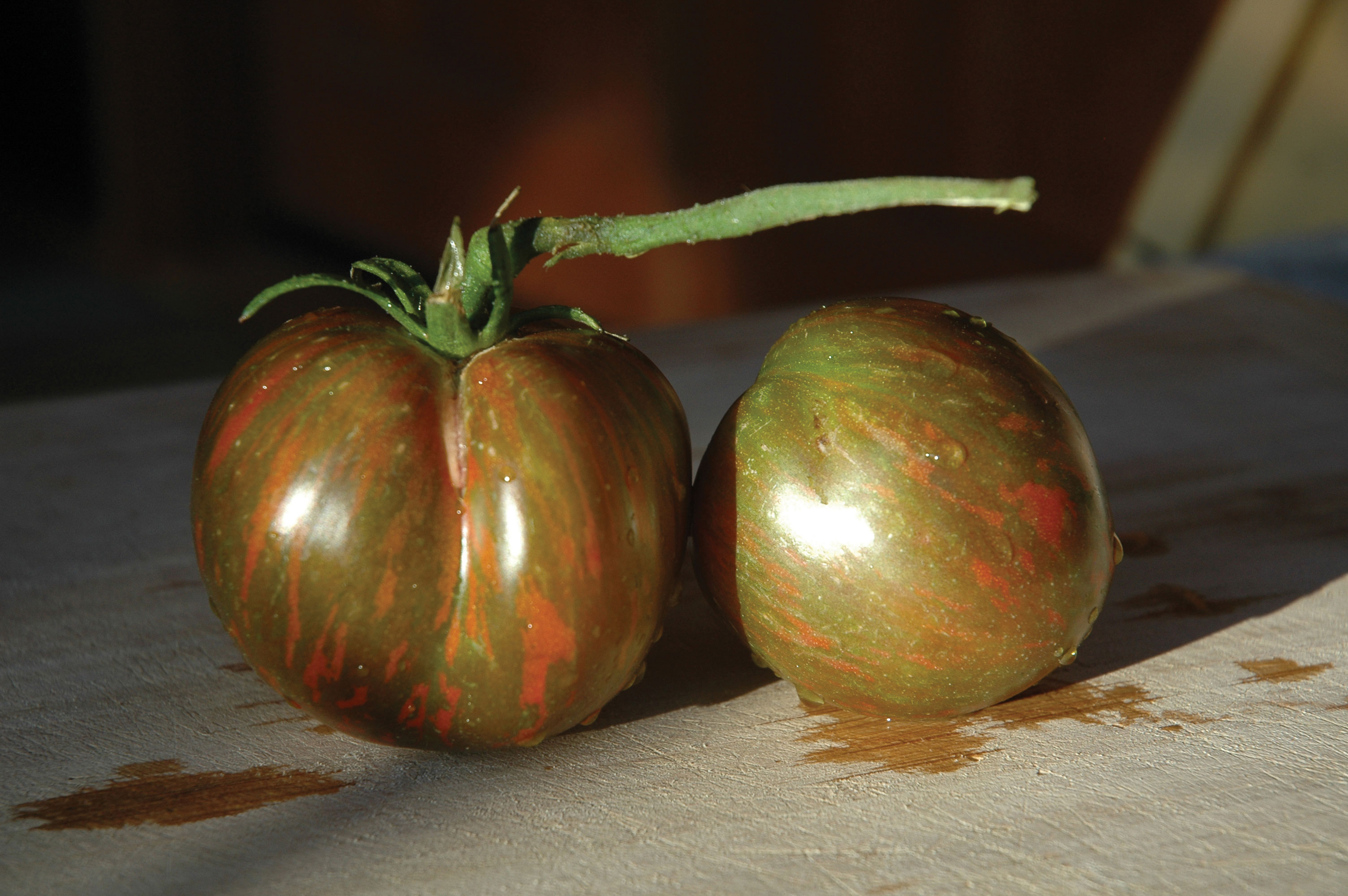 black-and-brown-boar