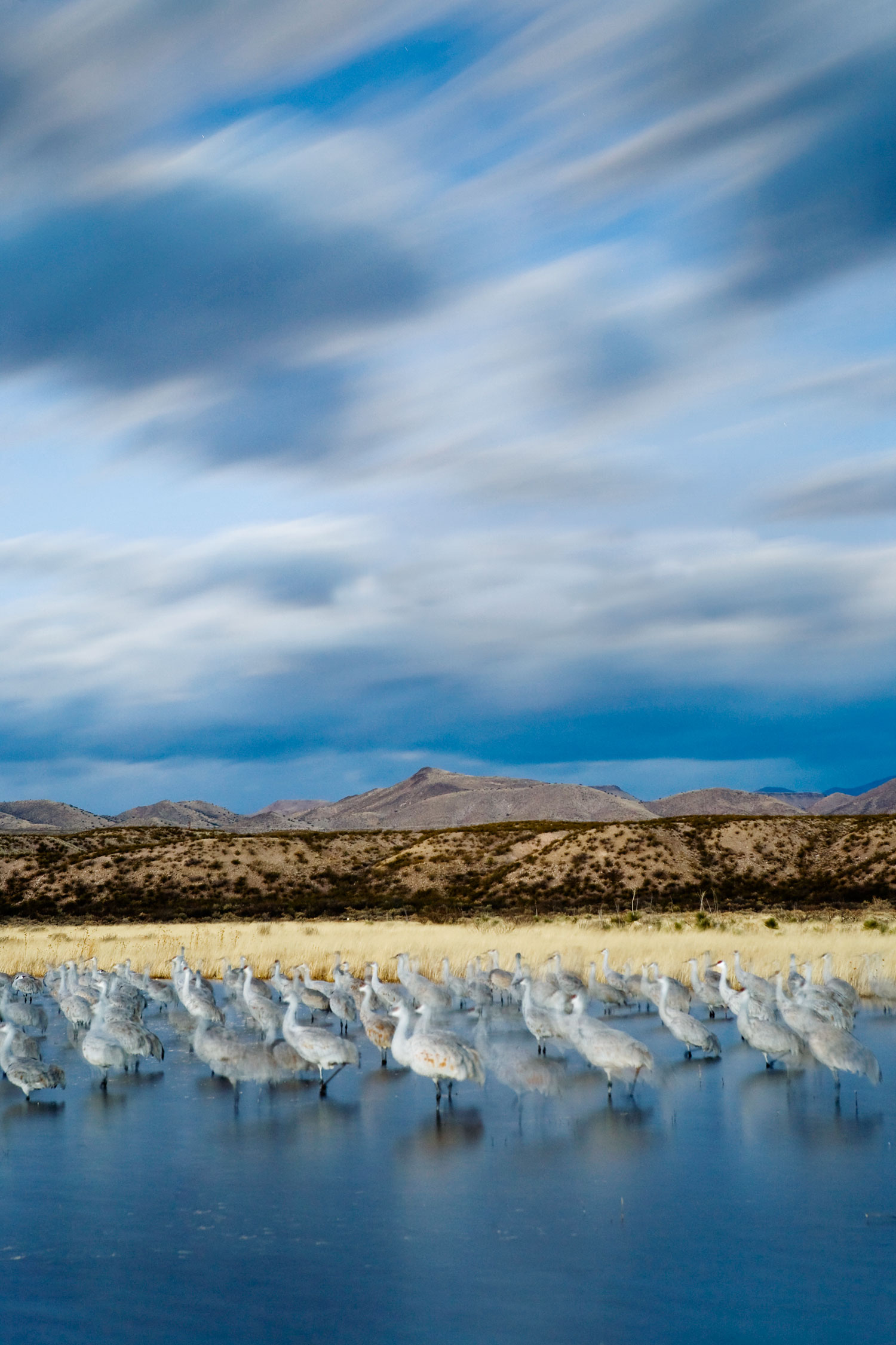 Get into the Wild in New Mexico