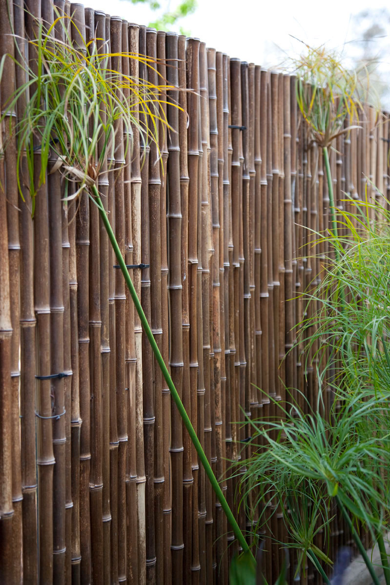 care-free-garden-hide-a-wall