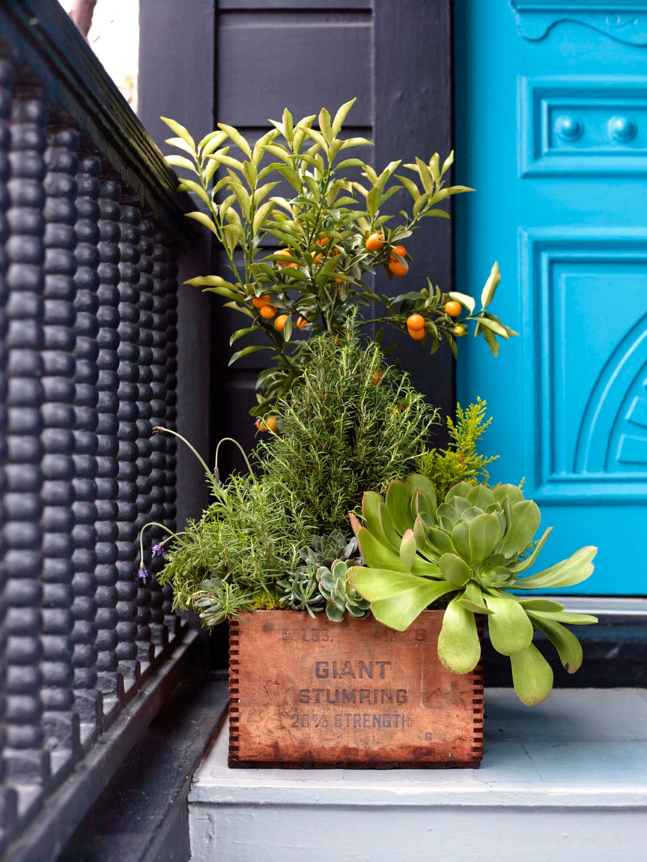 crate-planter