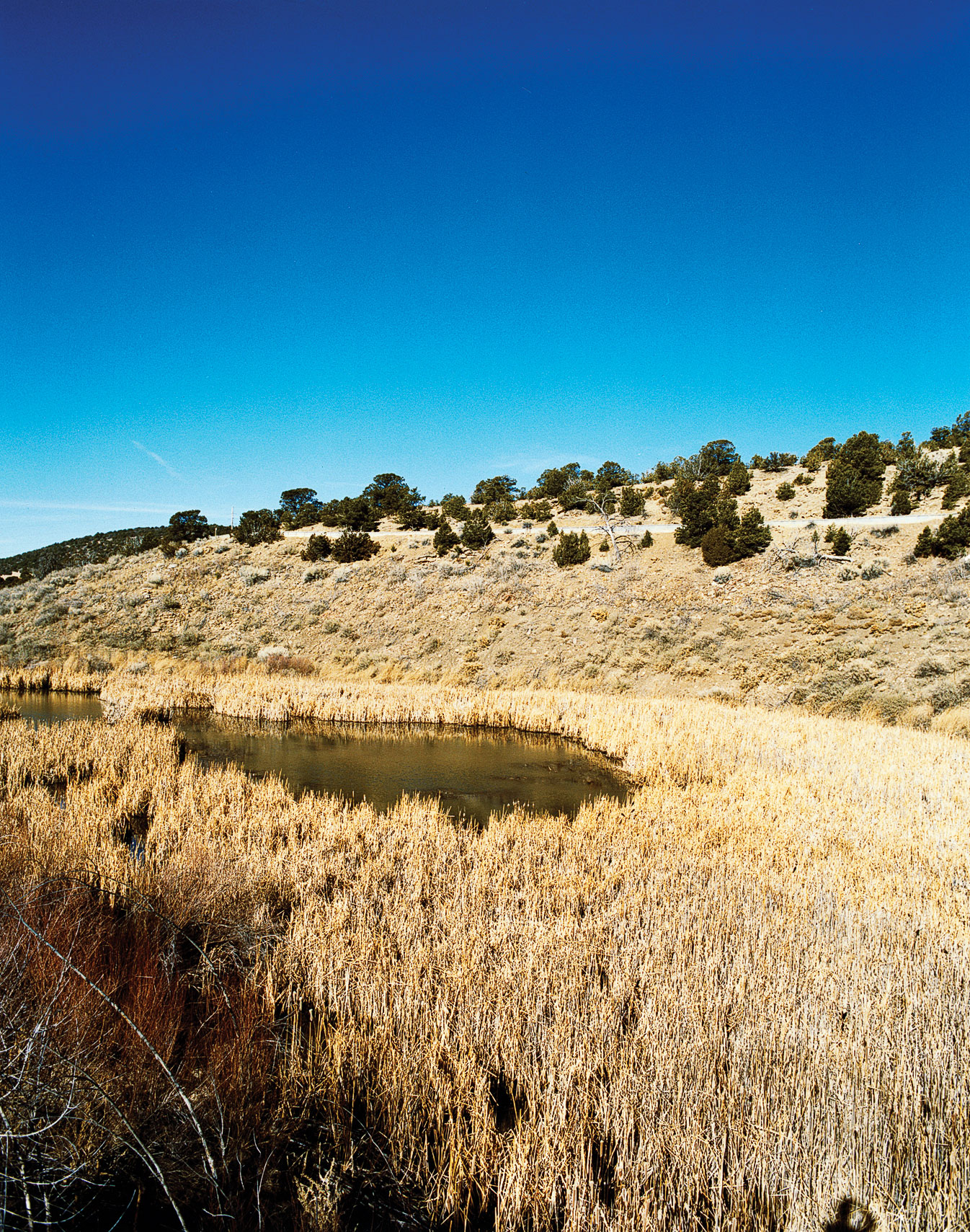 Day Trip: ToCa, Santa Fe