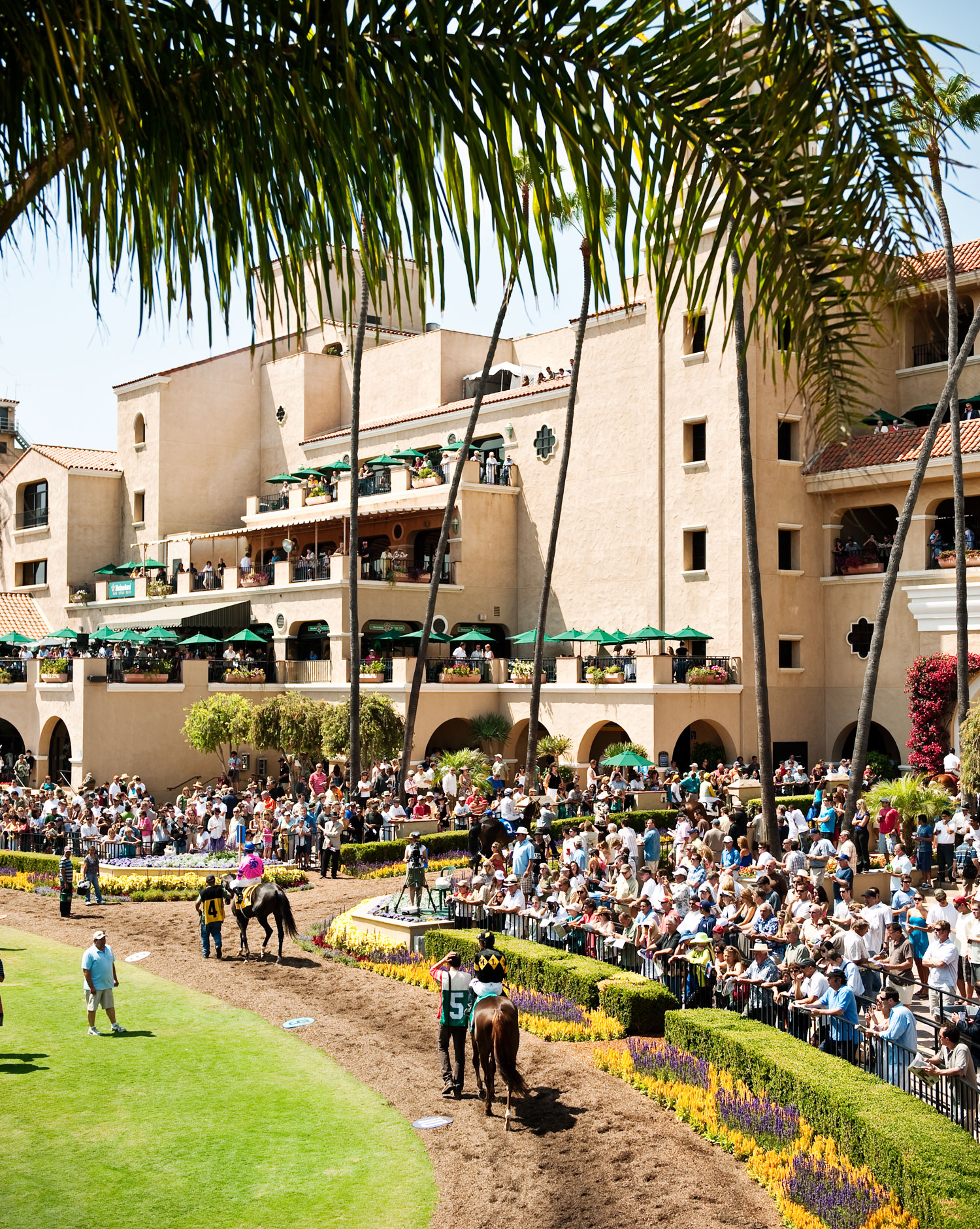 Del Mar: Vital Stats