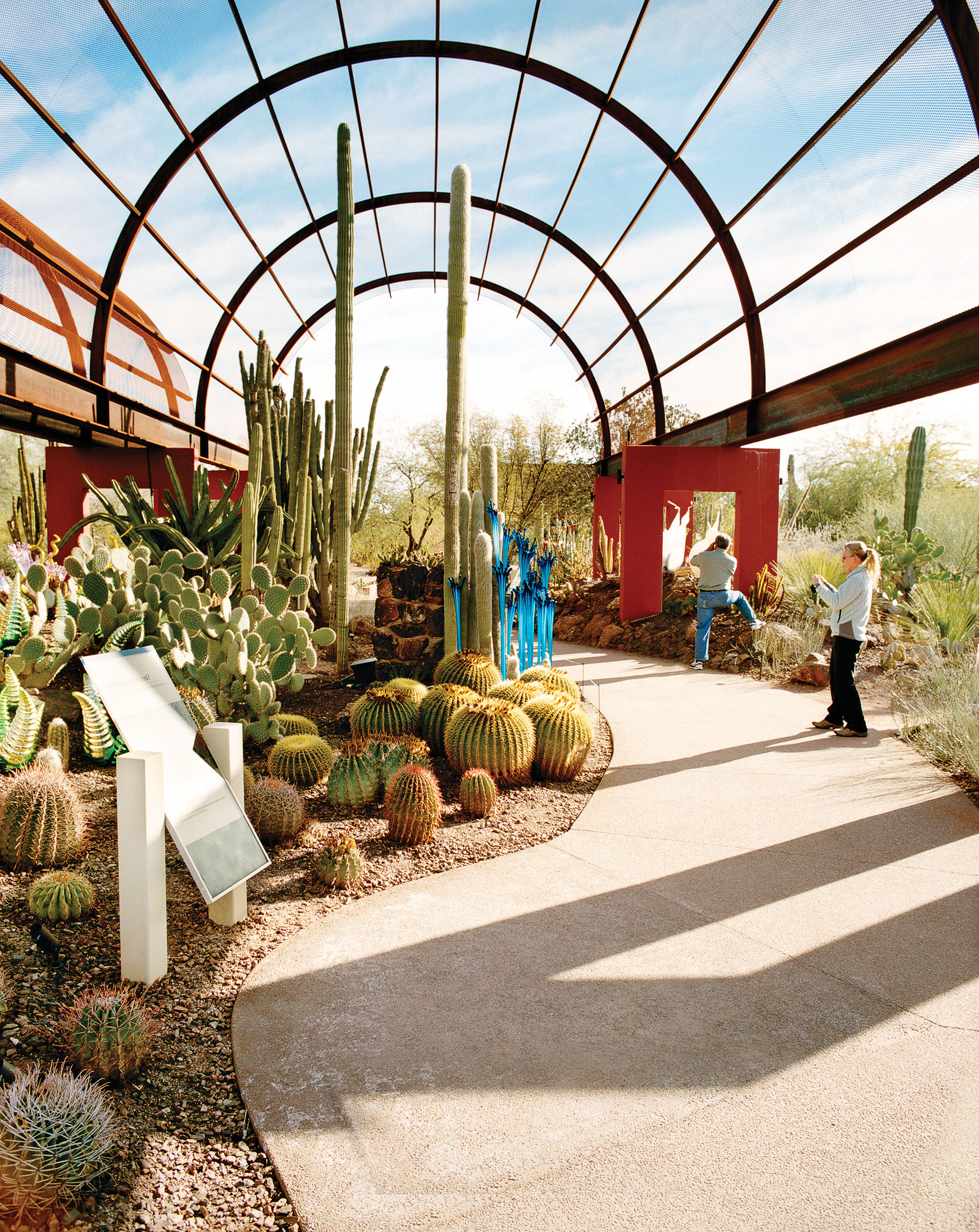 Phoenix Arizona To See Desert Gardens