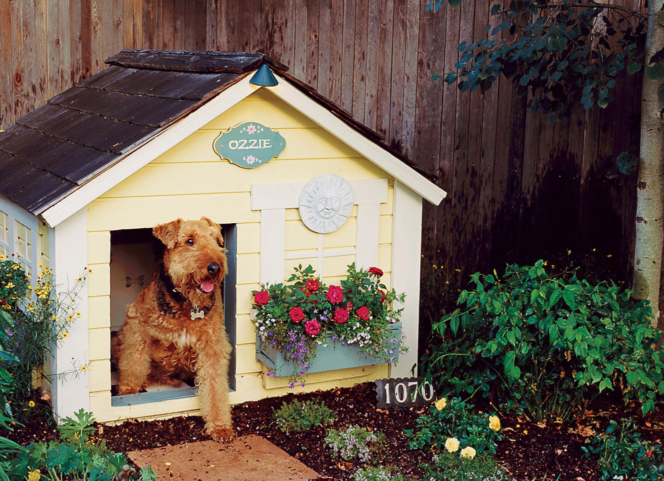 This Is the Trick to Creating a Garden Your Dog Won’t Mess Up