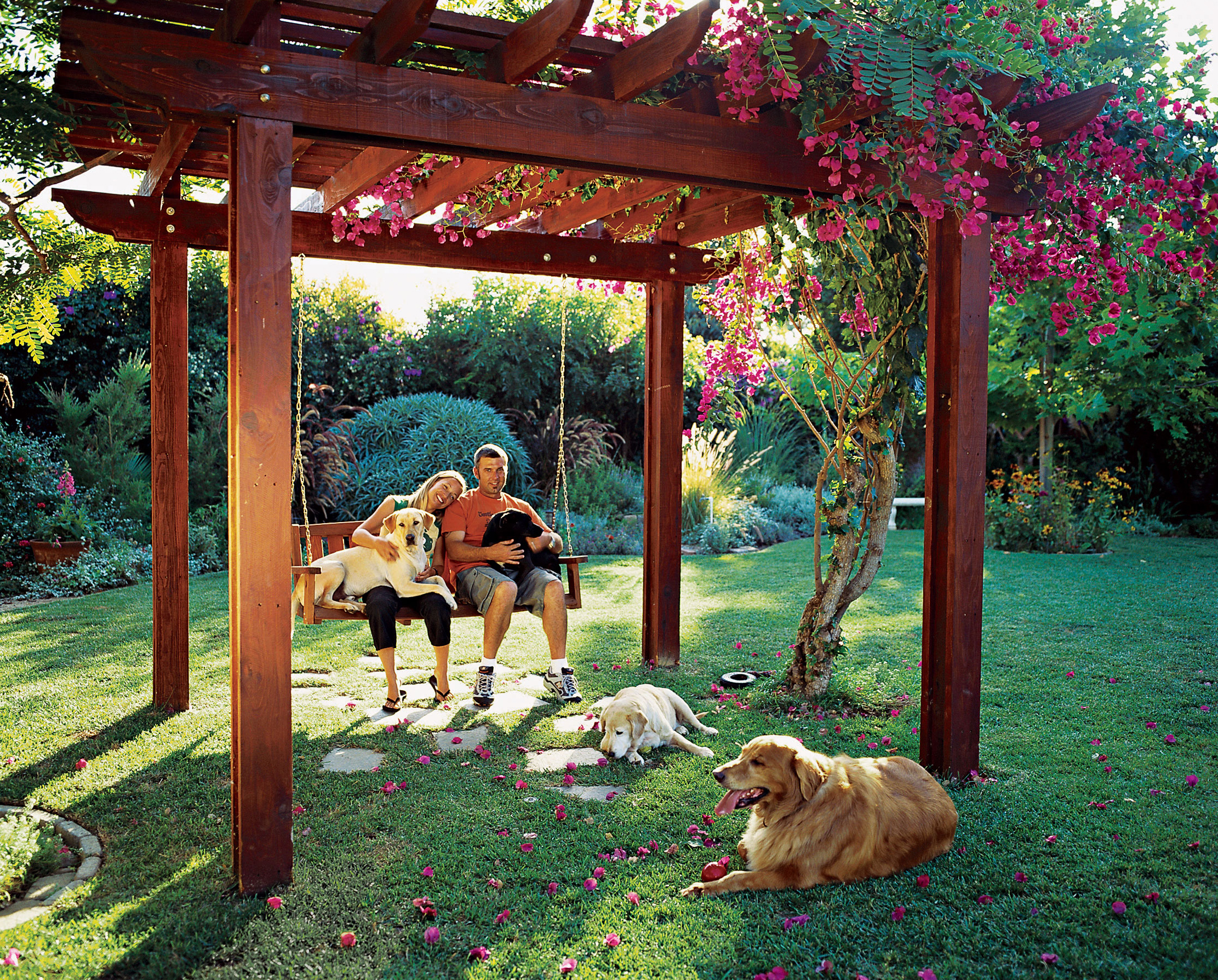 Backyard pergola