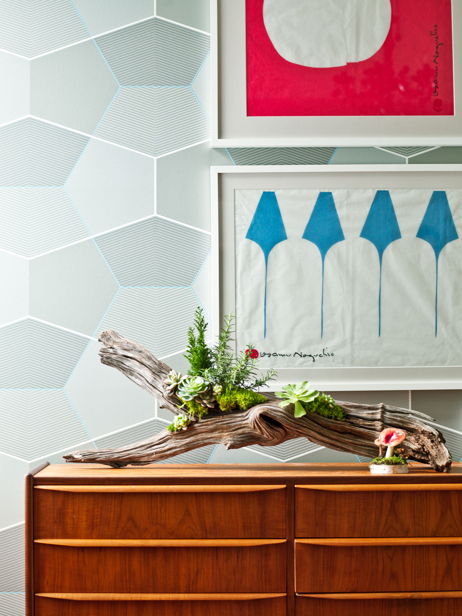 driftwood-arrangement