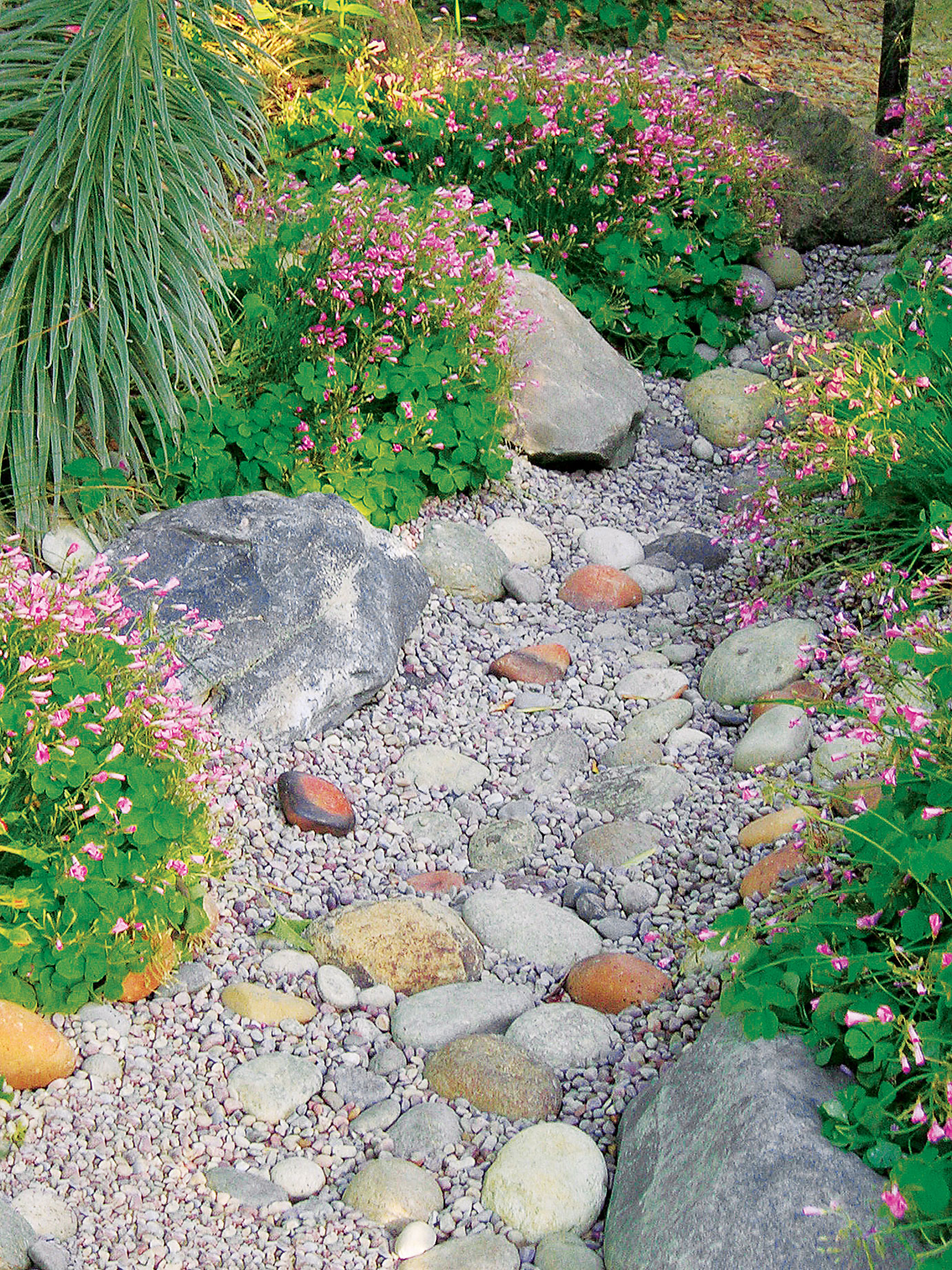dry-creek-bed
