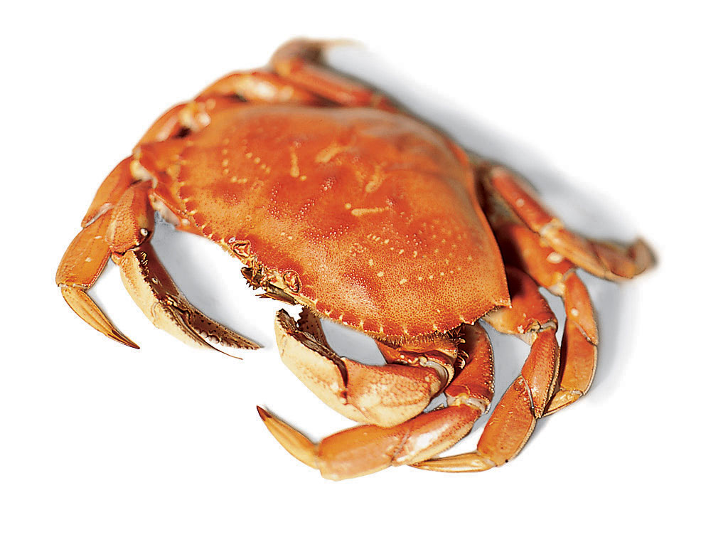 Dungeness 101: How to Cook Crab