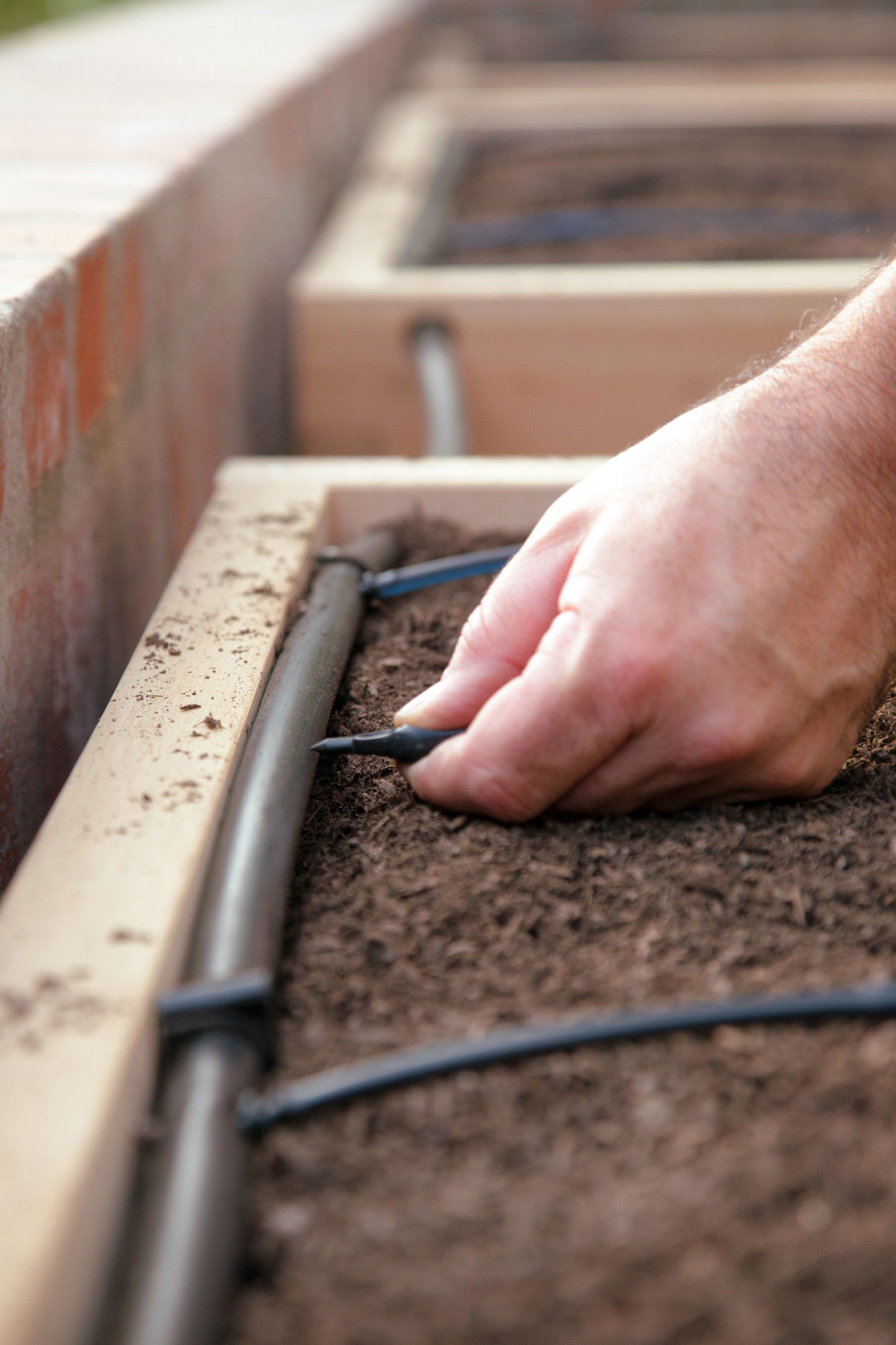 step-3-automated-watering