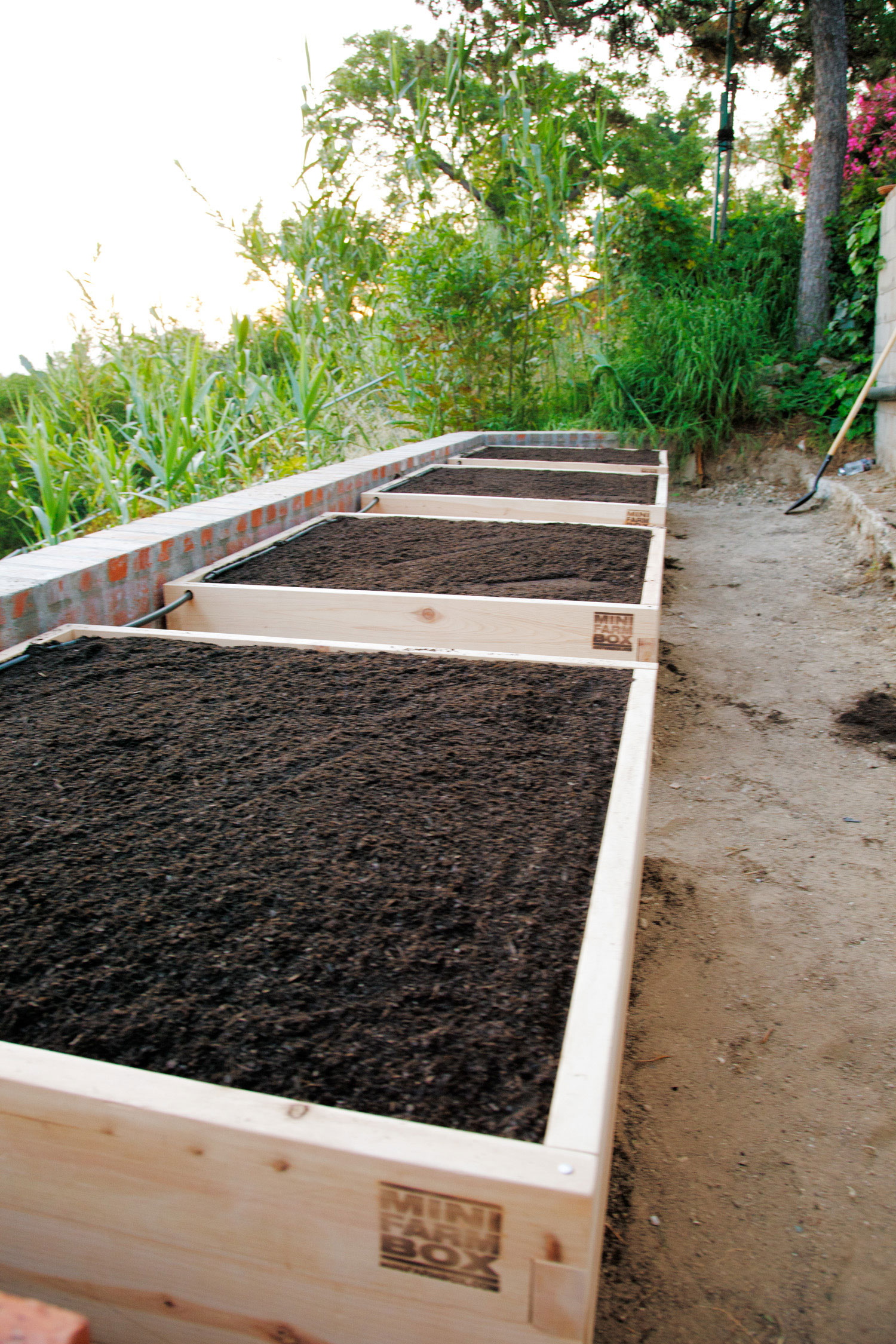 step-2-fill-the-boxes-with-compost