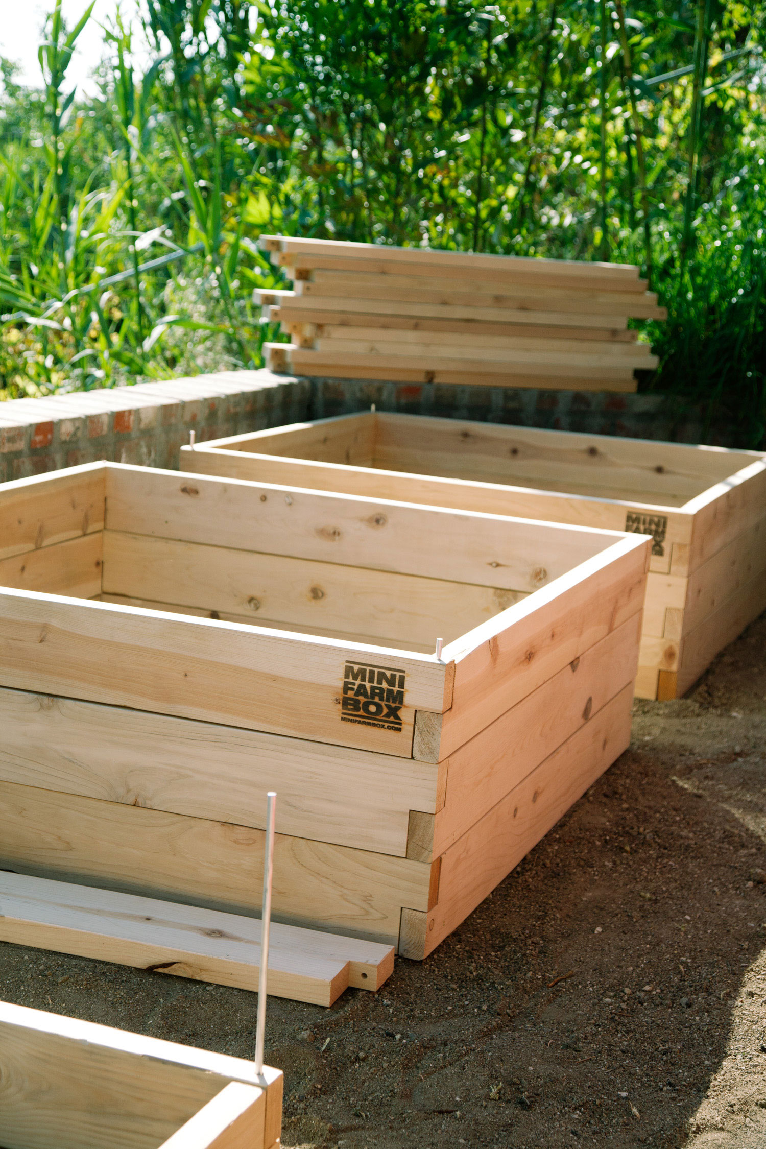 the-process-from-prep-to-harvest