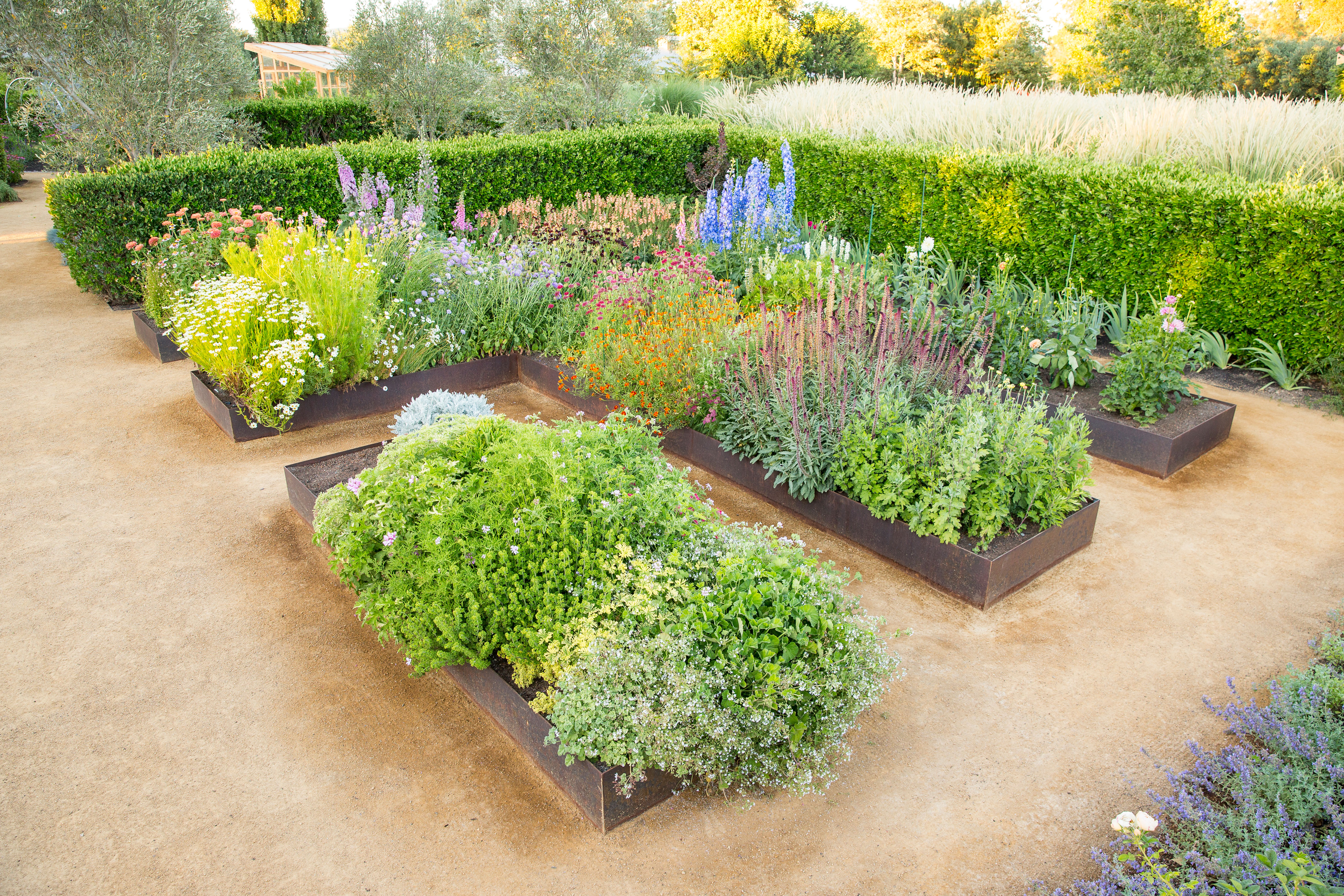 10 Great Flower Garden Design Tips - Sunset Magazine