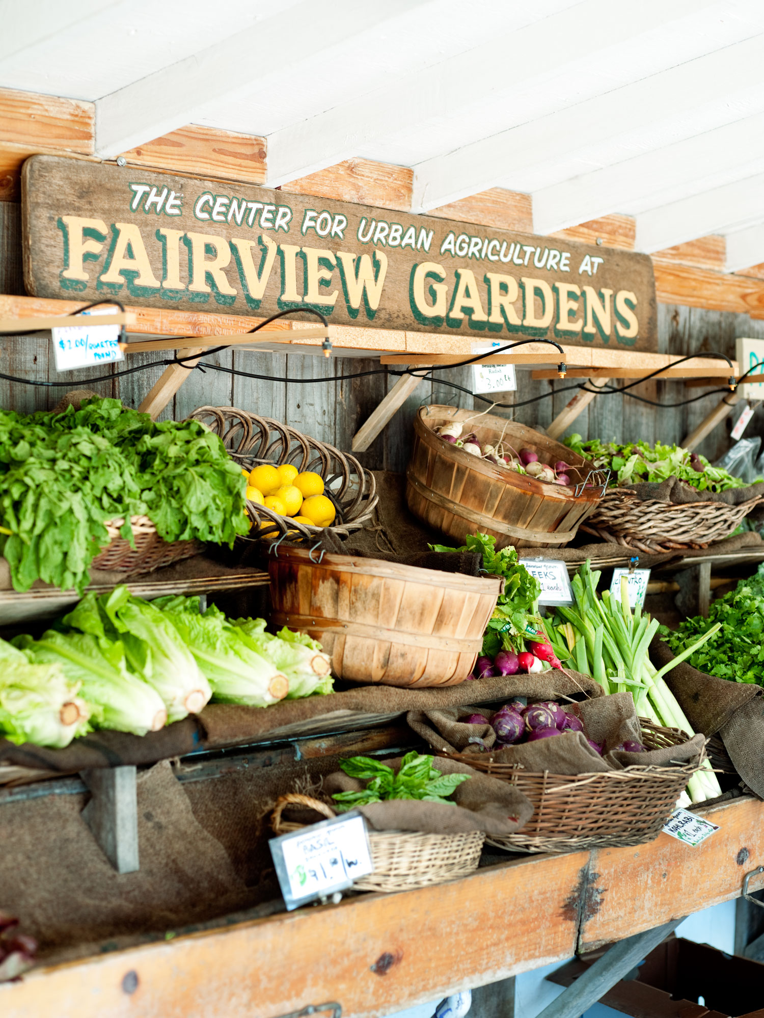 One Perfect Day in Goleta, CA