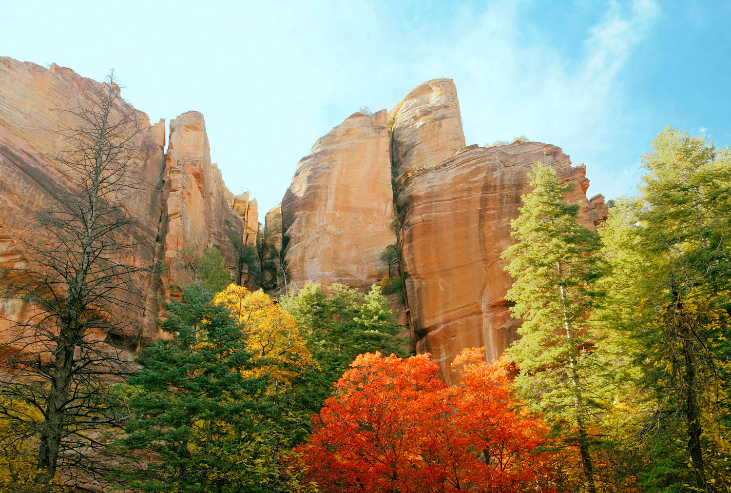 The 27 Best Campgrounds in the Southwest