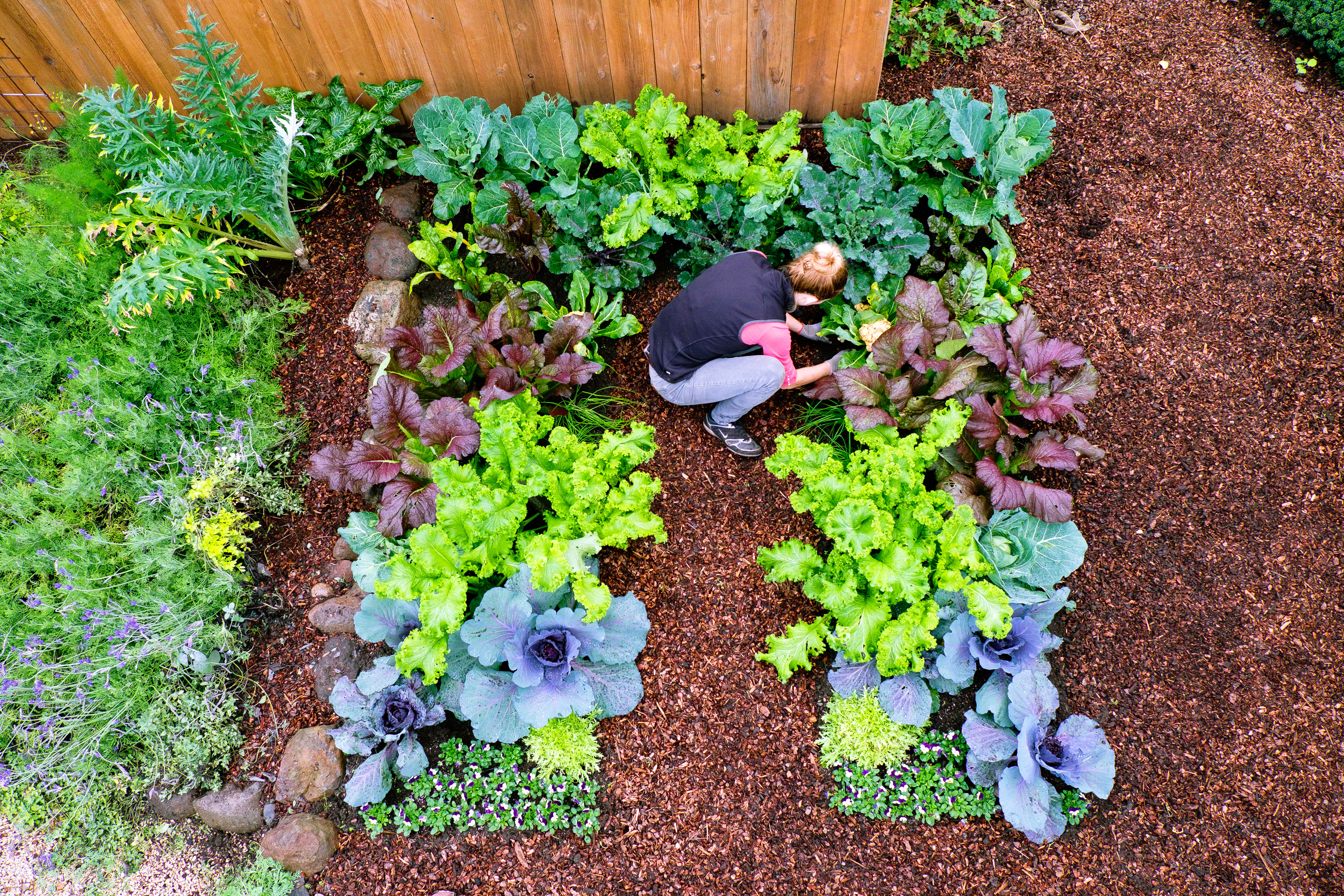 Plant a Cool-Season Vegetable Garden