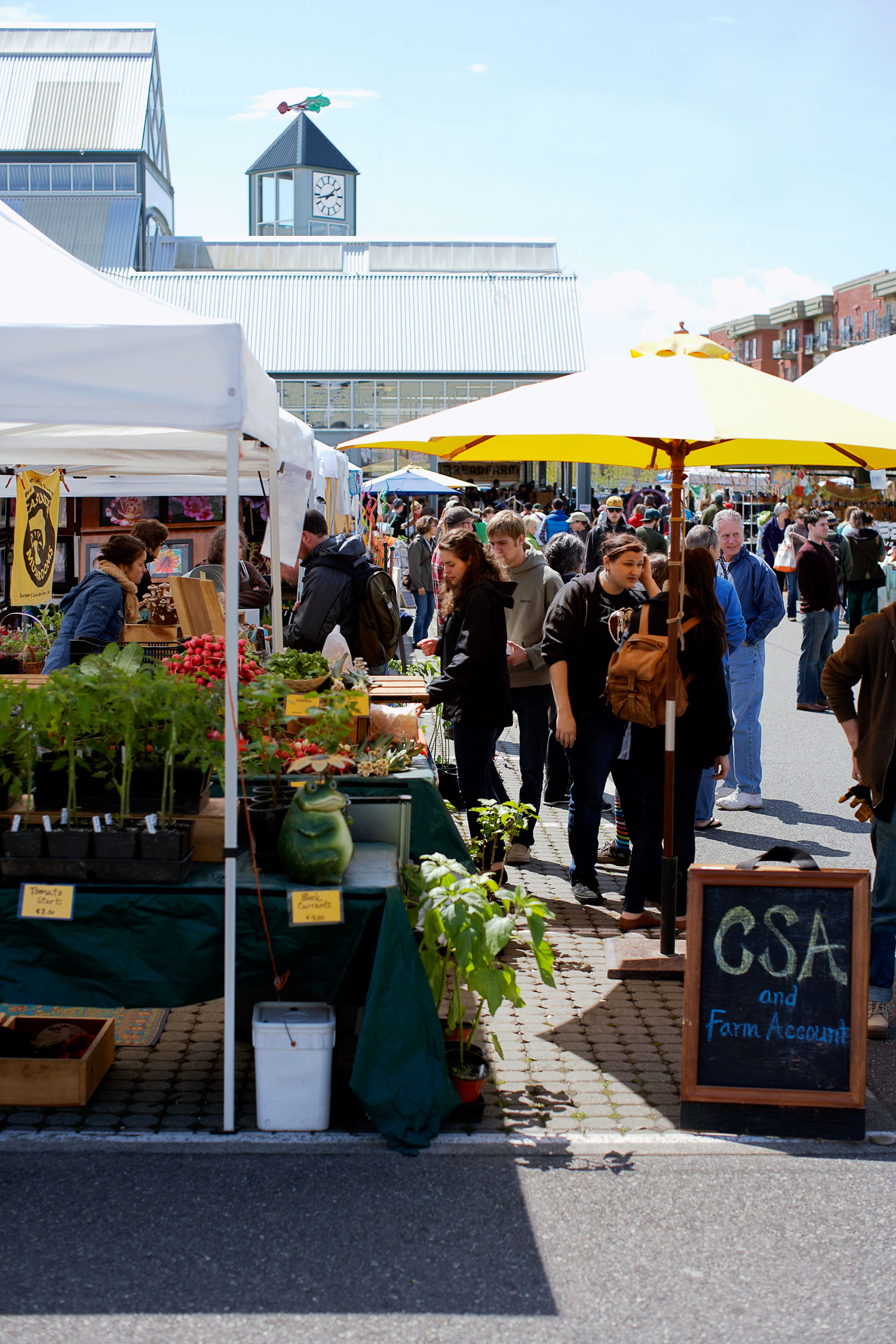 Lansdowne Market - Ottawa Farmers' Market