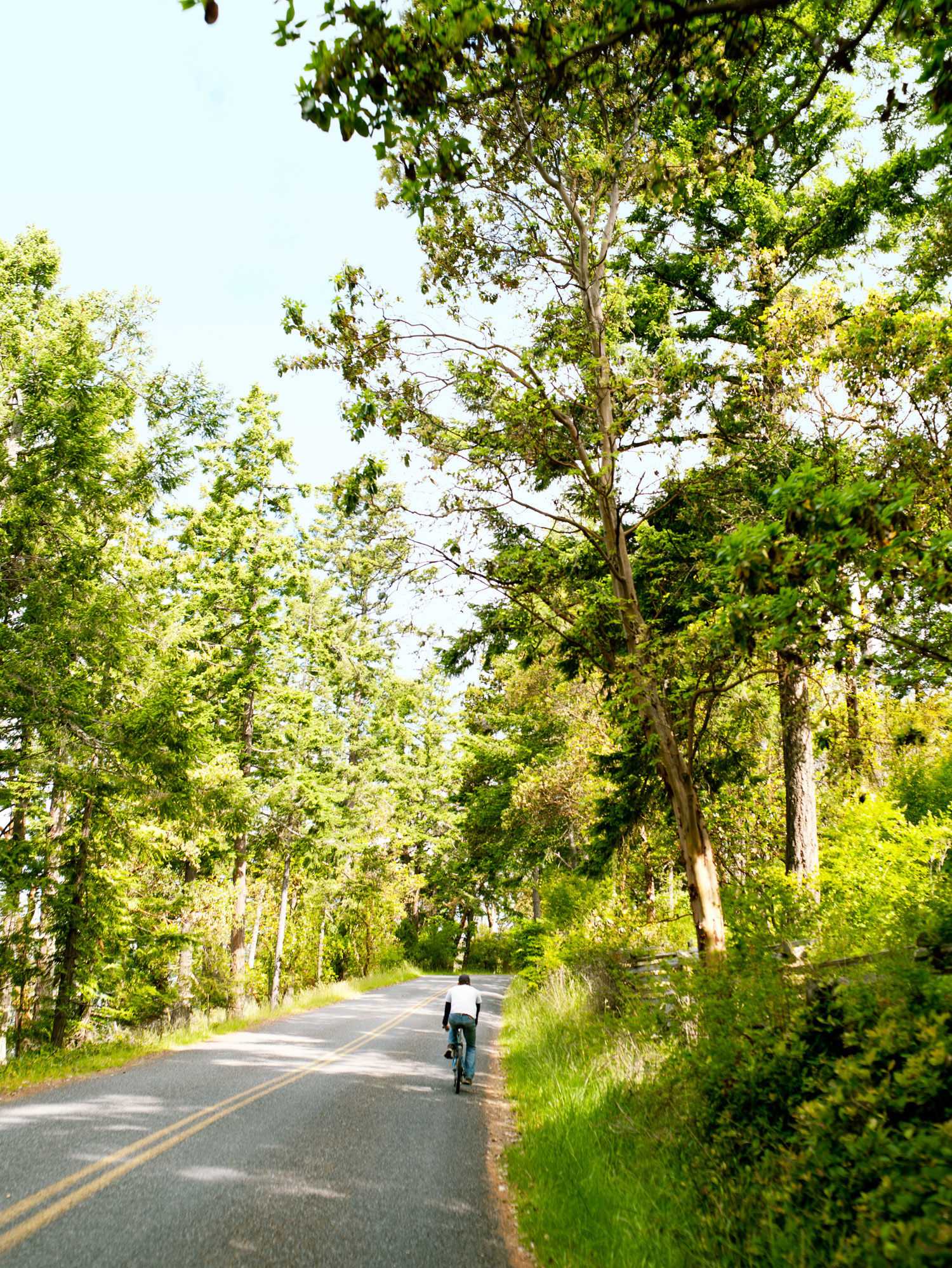 90-minutes-to-a-secret-san-juan-anacortes-to-shaw-island-wa