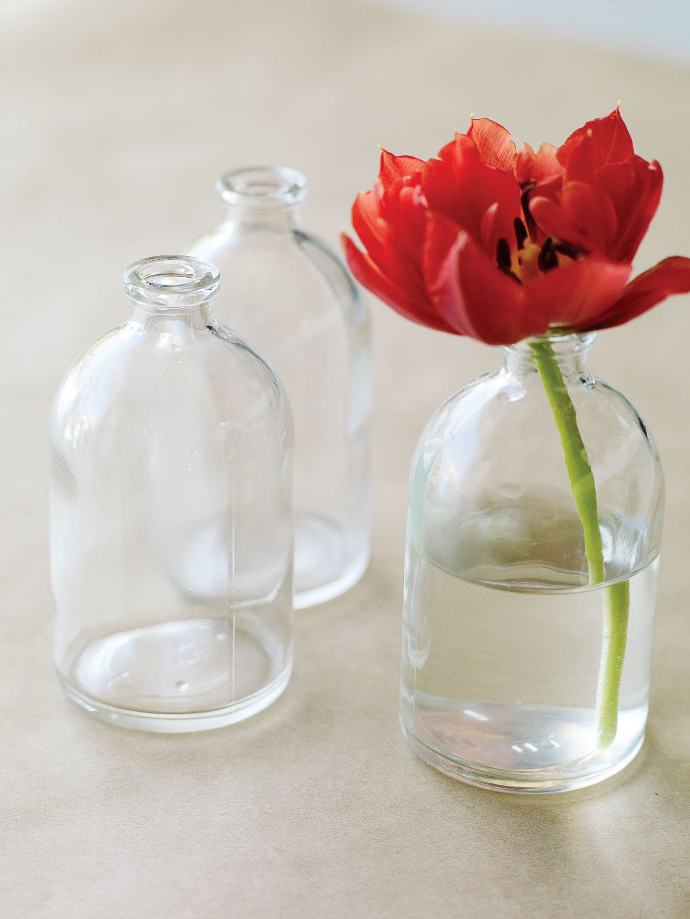 simplicity-multiplied