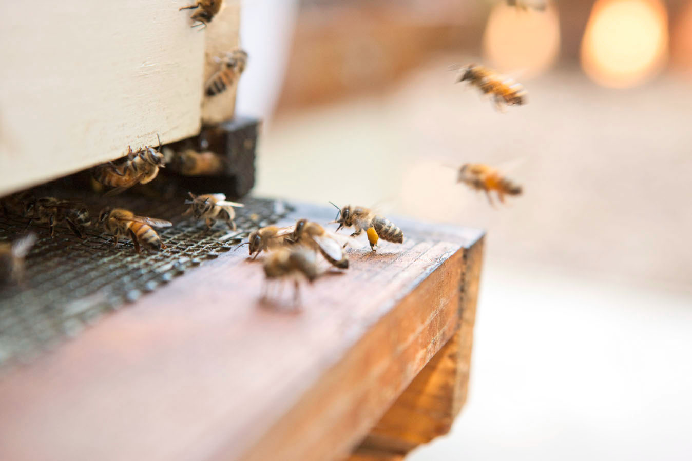 reduce-entrances-in-winter