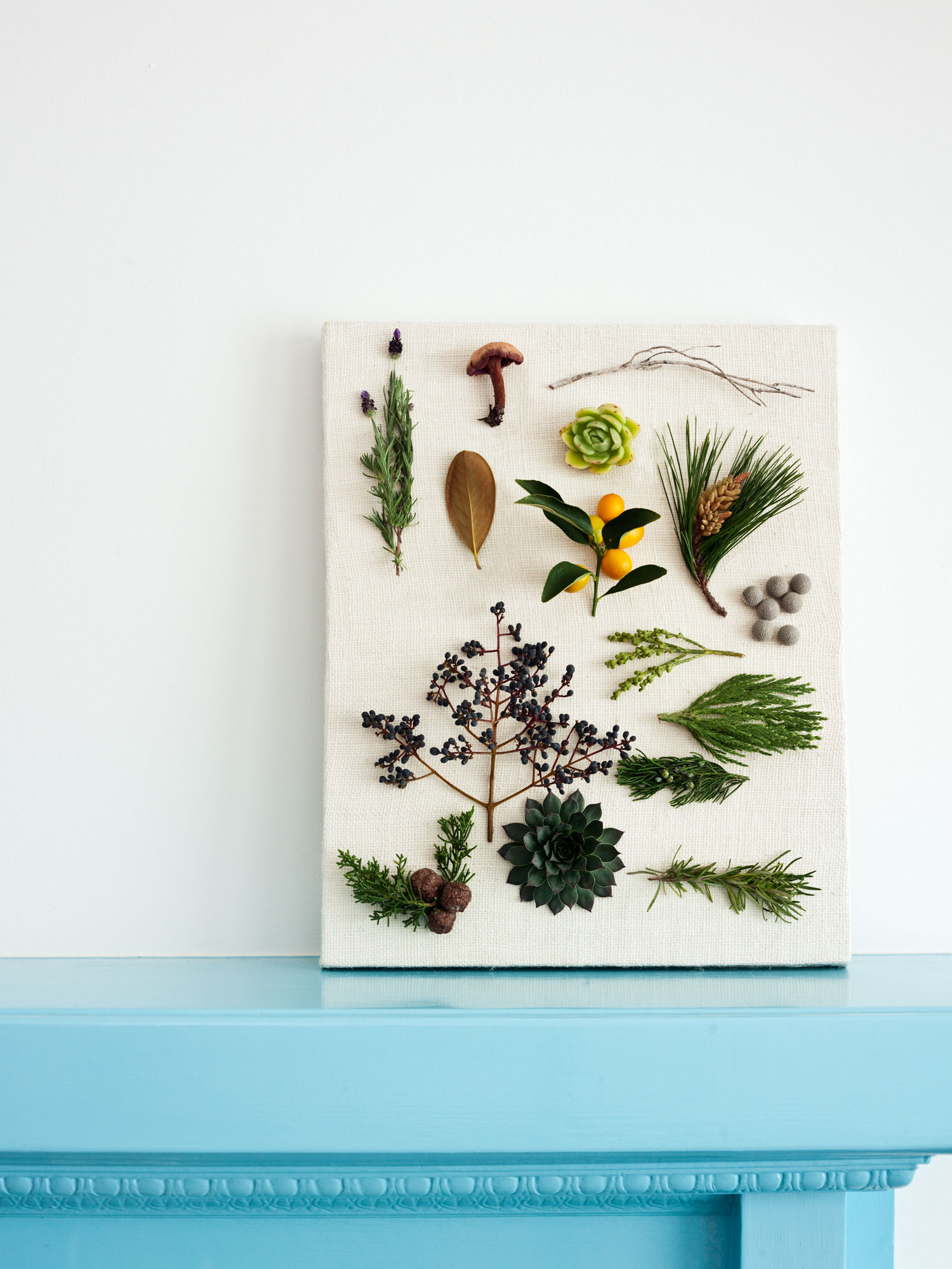 plants-to-forage-for-a-diy-arrangement